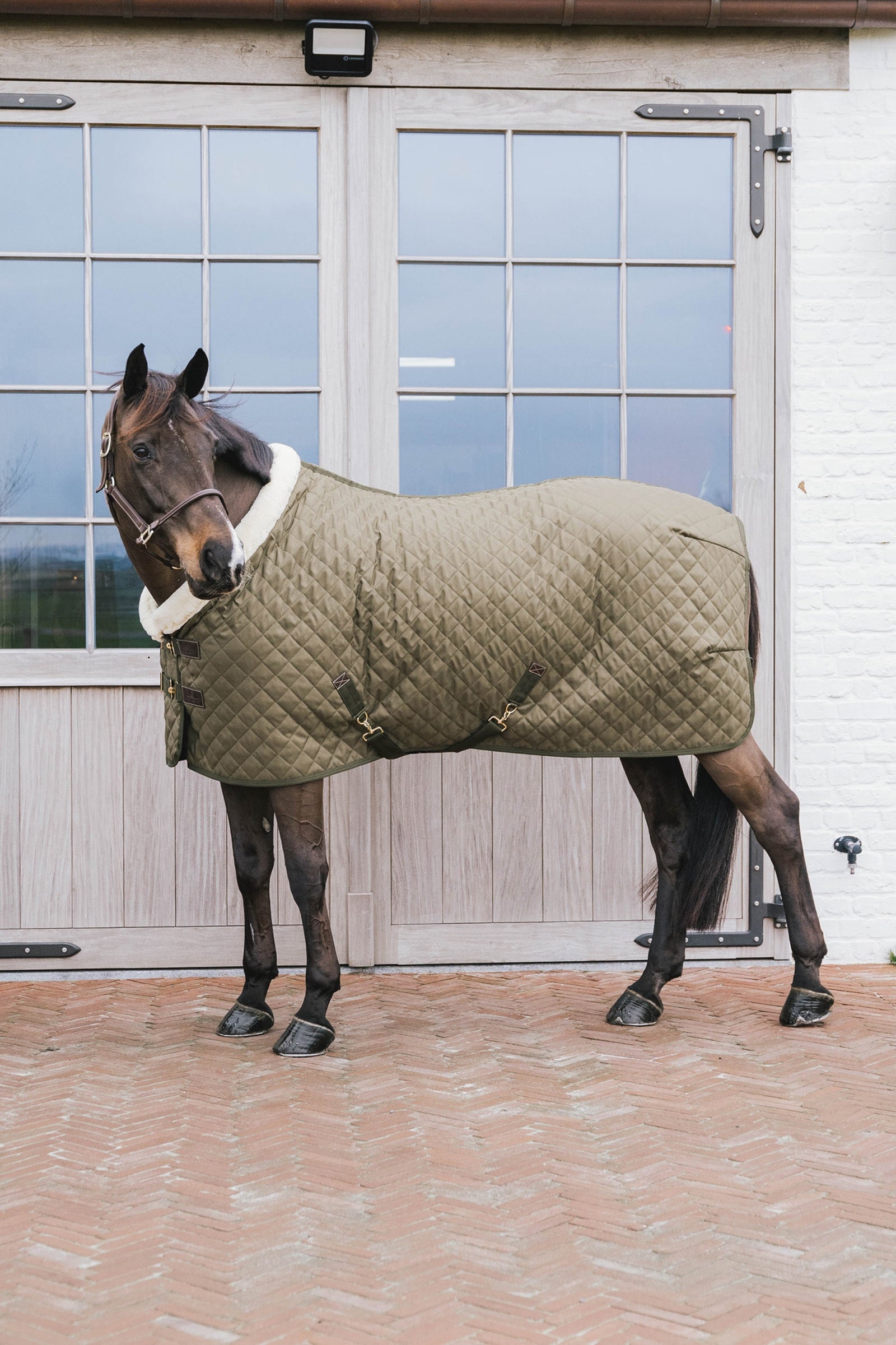 Kentucky Horsewear Kentucky Manta de Concurso Horsewear, 160g Mantas Caballo