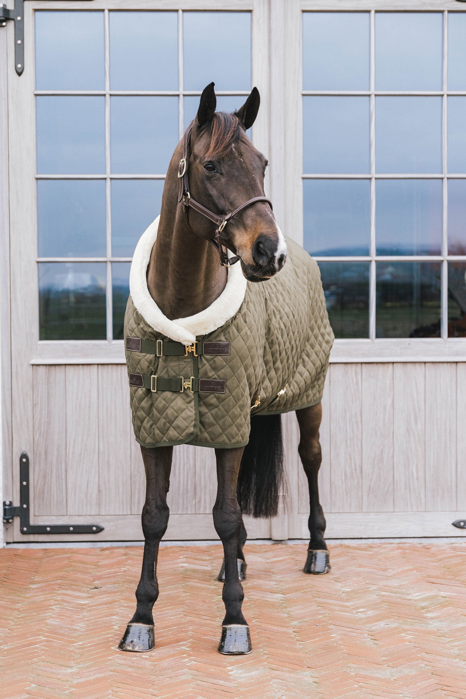Kentucky Horsewear Show rug 160g Horse Rugs