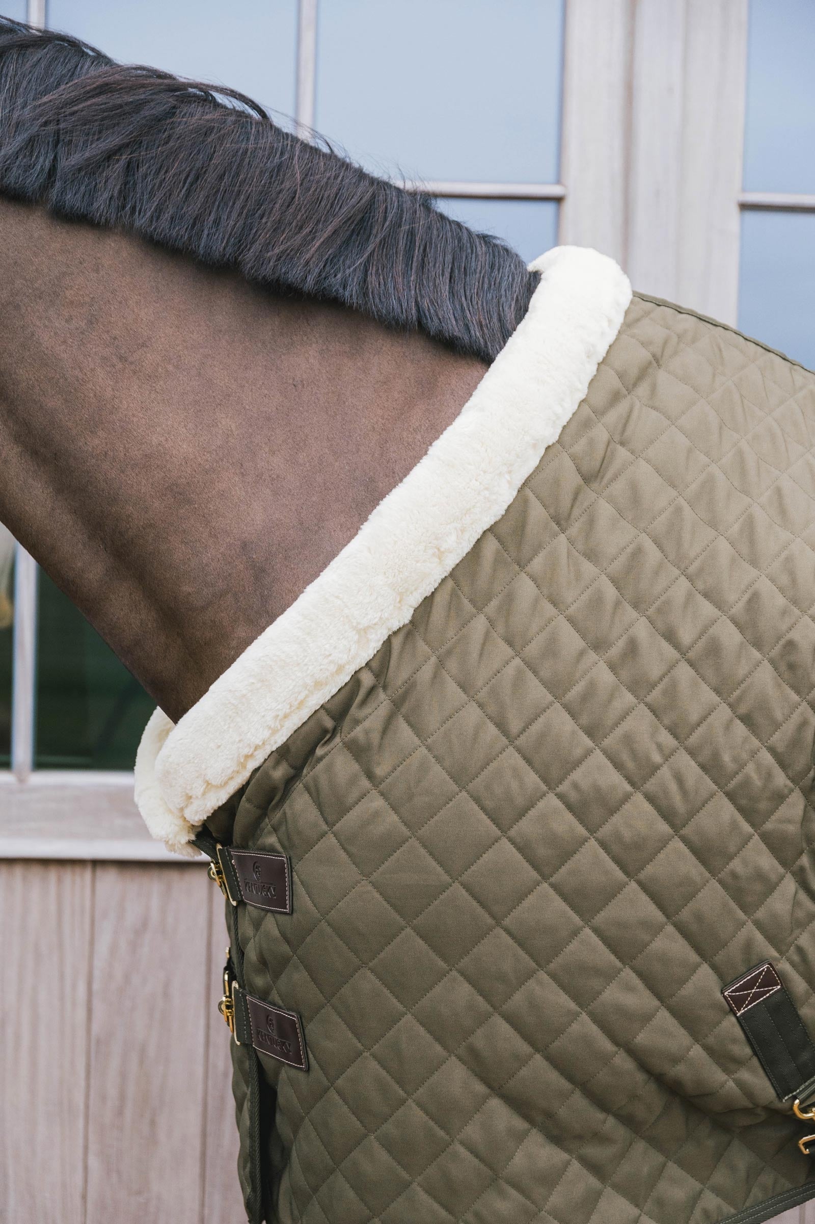 Kentucky Horsewear Show rug 160g Horse Rugs