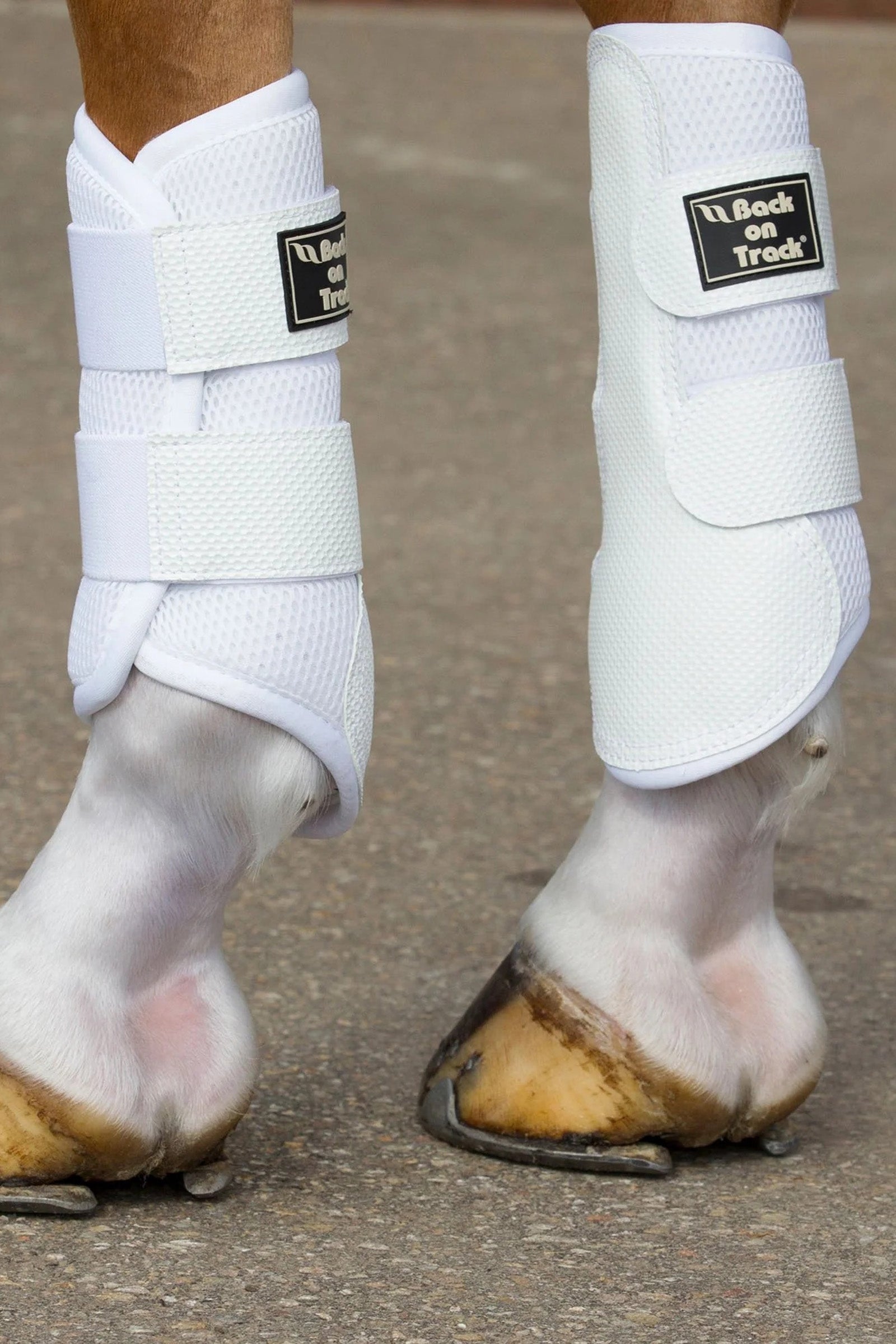 Back on Track 3D Mesh Boots, S-M Leg Protection & Hoof Protection for Horses