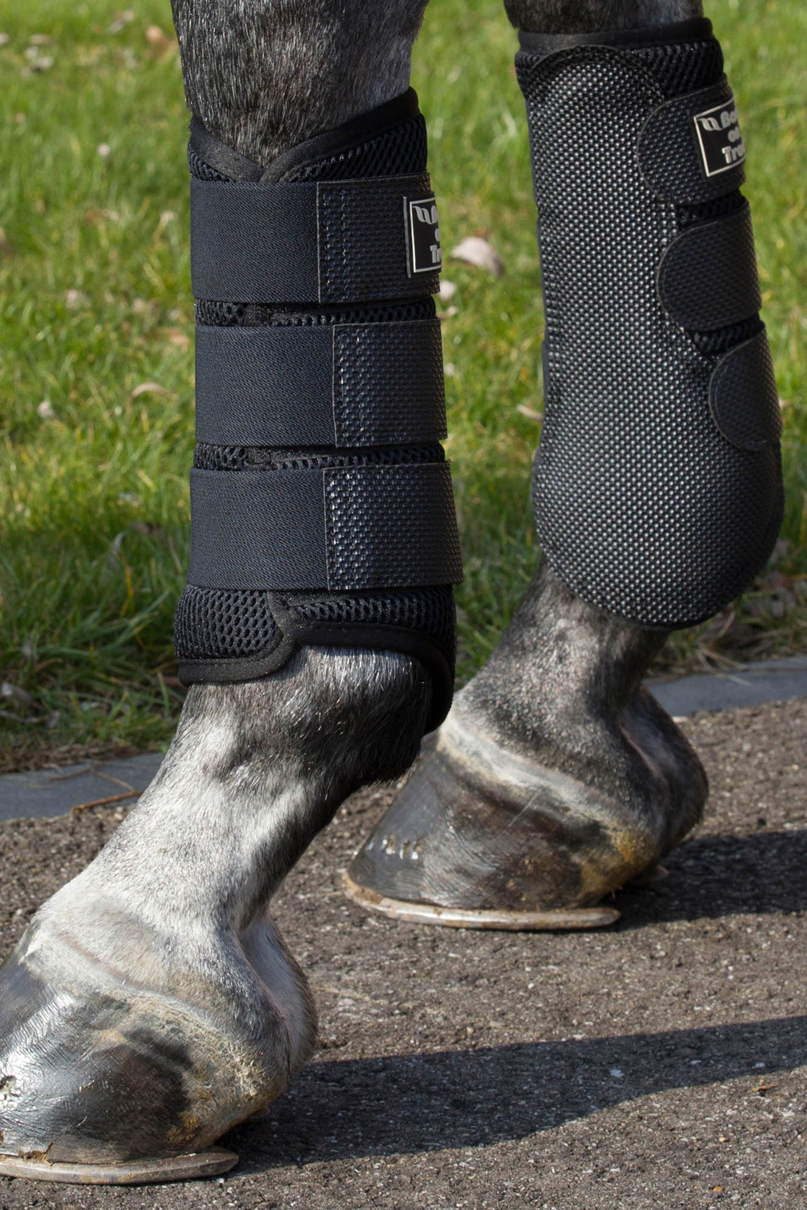 Back on Track 3D Mesh Boots, S-M Leg Protection & Hoof Protection for Horses