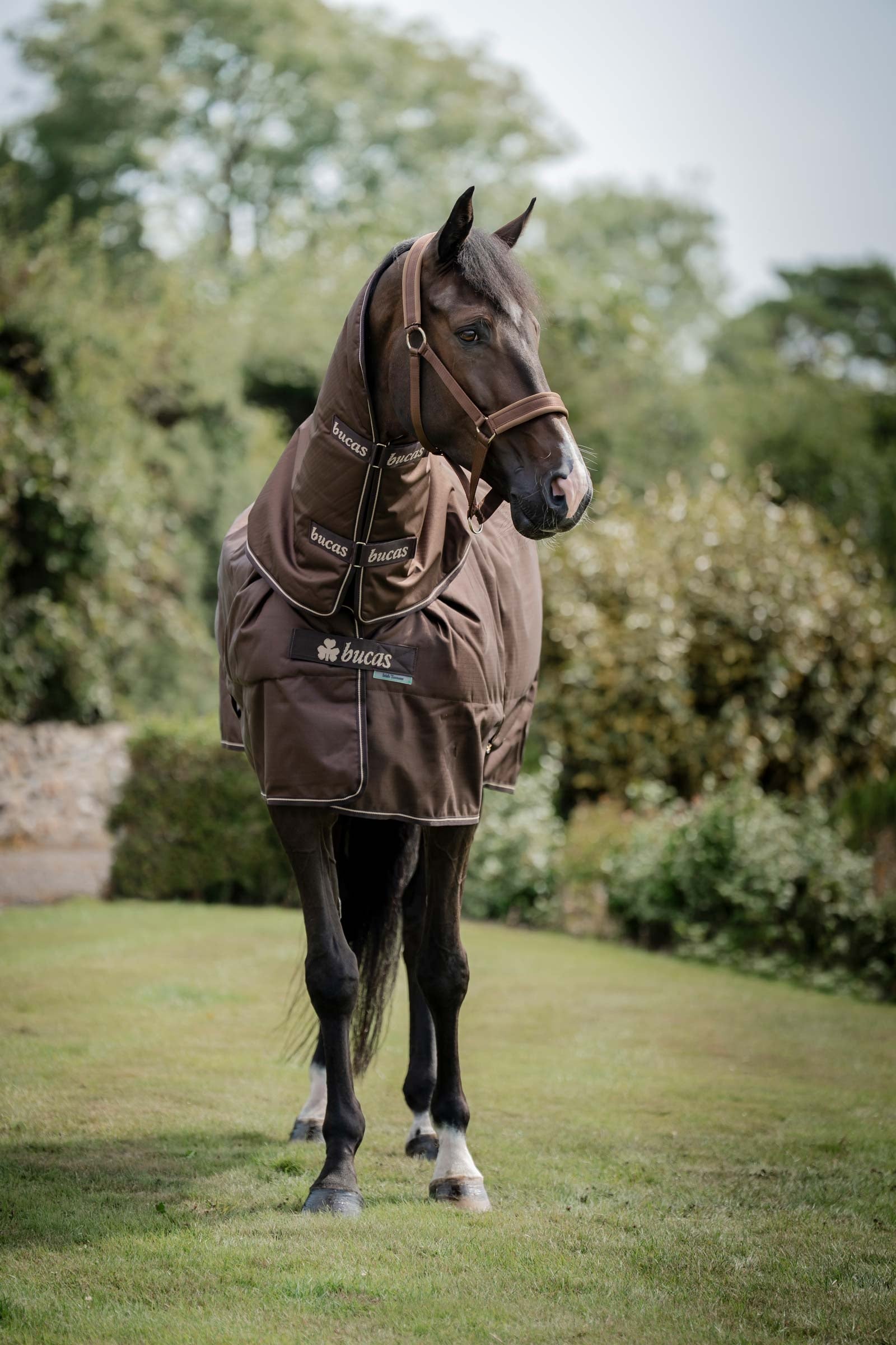 Bucas Irish Turnout 50 g Rug & Neck Mantas Caballo