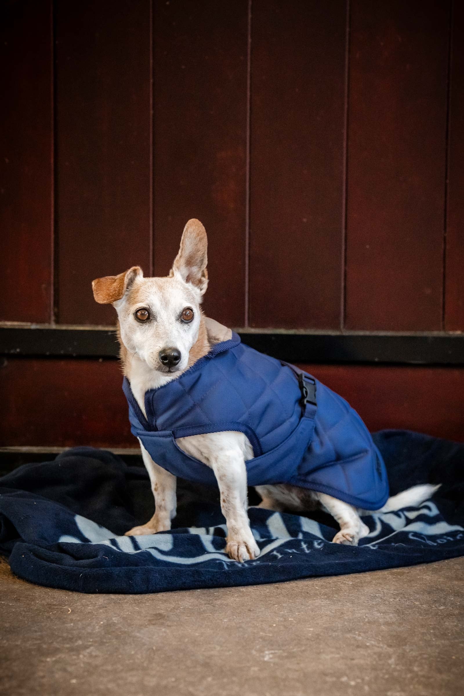 Bucas Cosy Dog Rug Perro