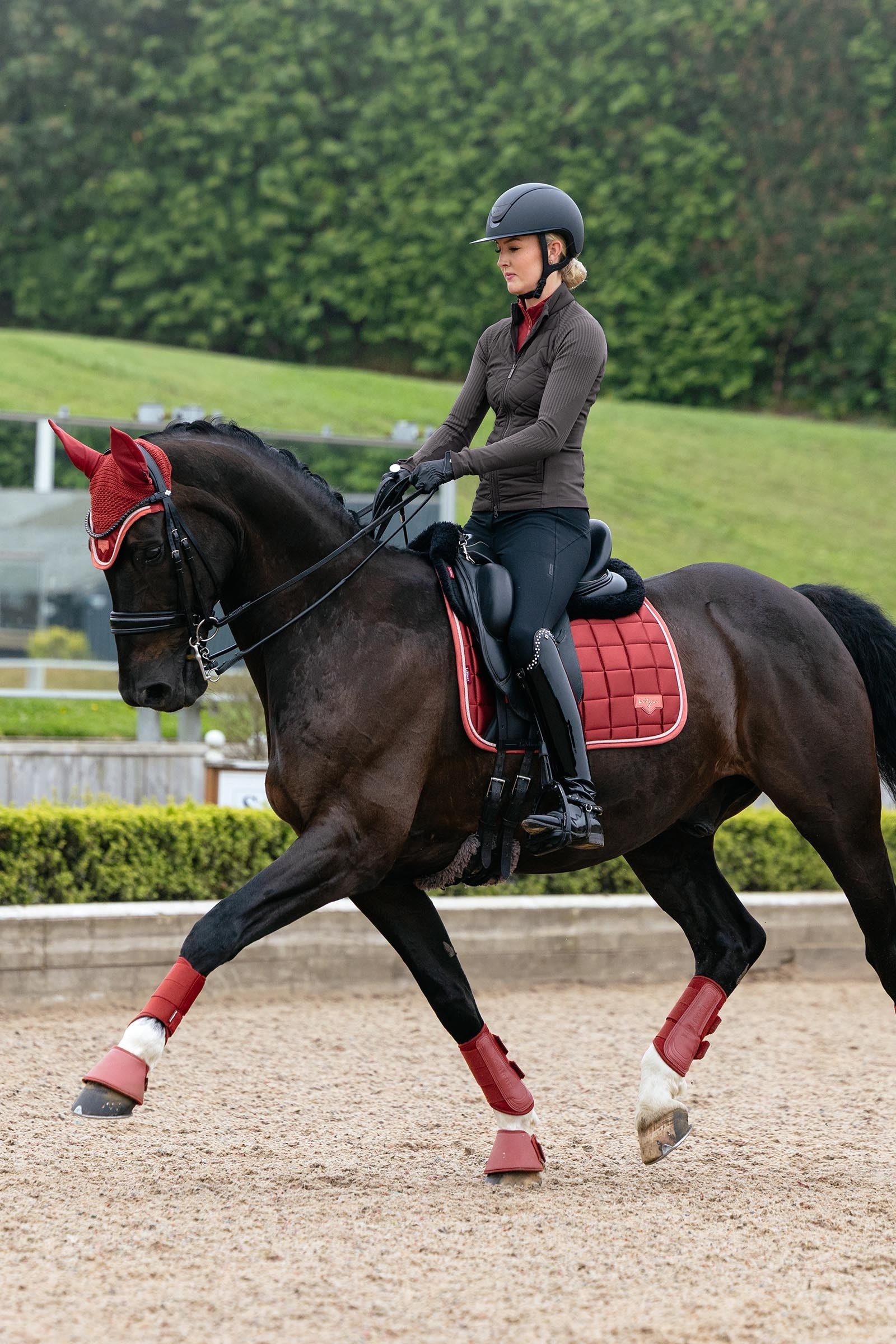 LeMieux Loire Classic Square Dressage Saddle Pad Saddle Pads