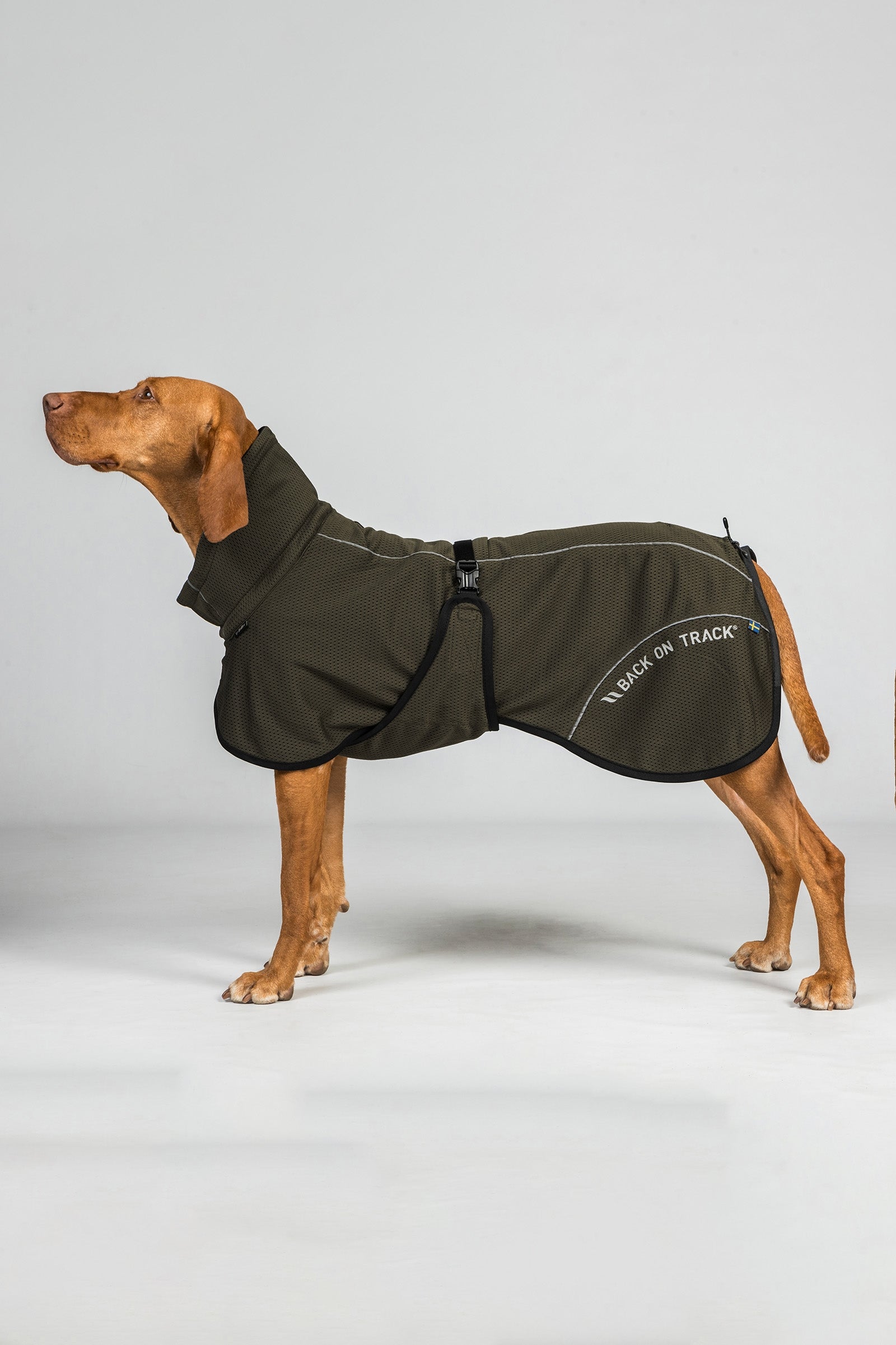 Back on Track Bay Mesh Dog Coat, High Set Tail Dog Accesories