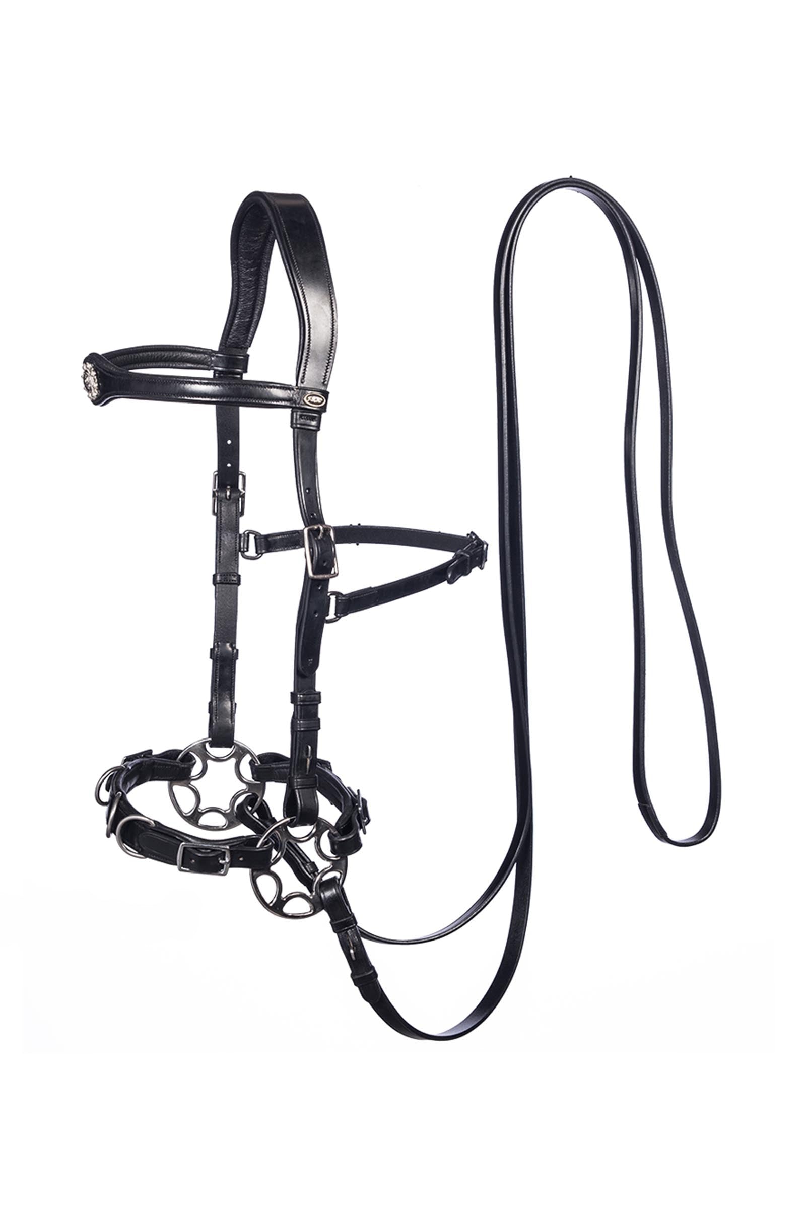 F.R.A. Freedom Riding Articles Caval Compl. Cavemore Bridle (Syst.2) w/ Scissors & Reins Bridles & Reins