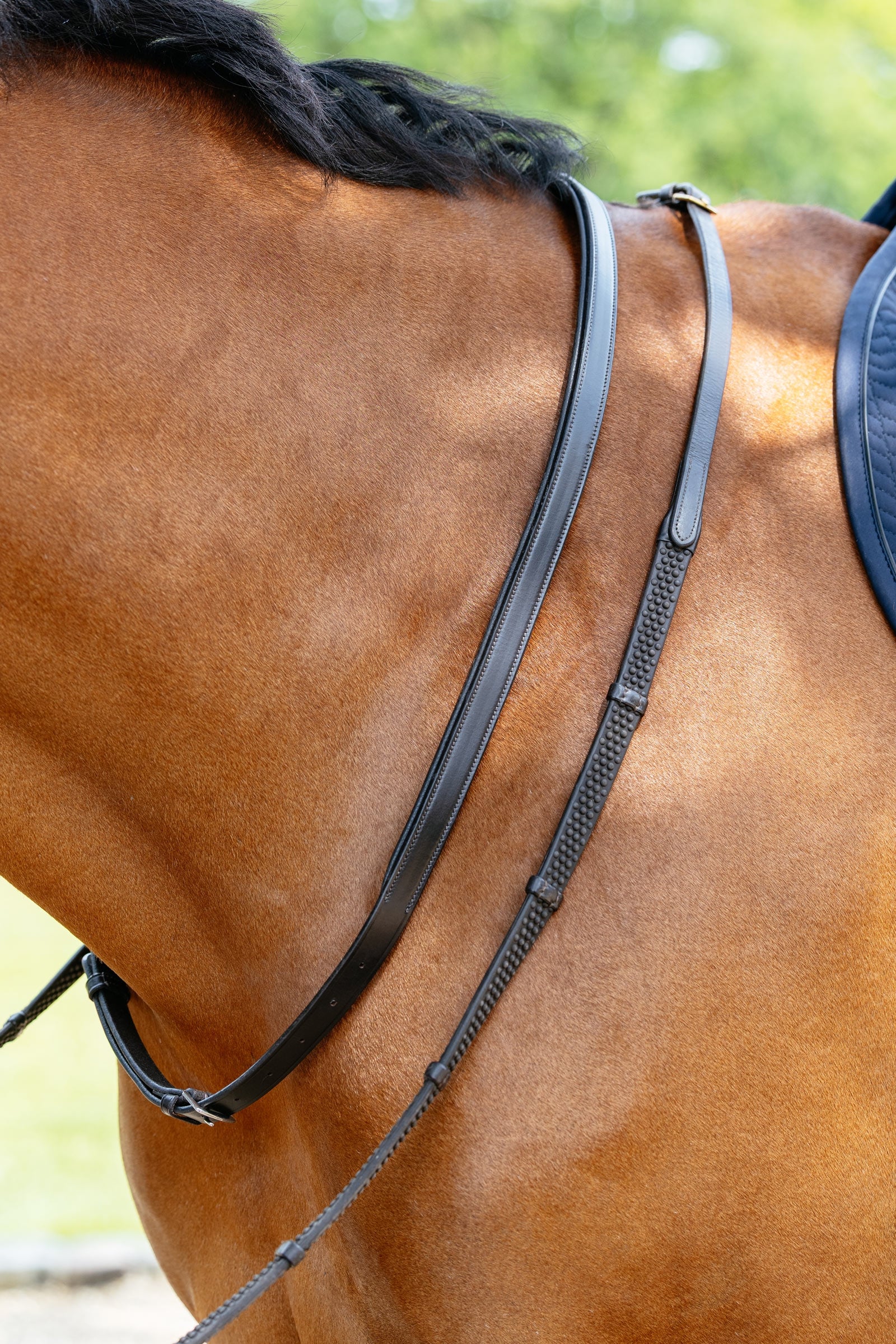 LeMieux Leather Neck Strap Bridles & Reins