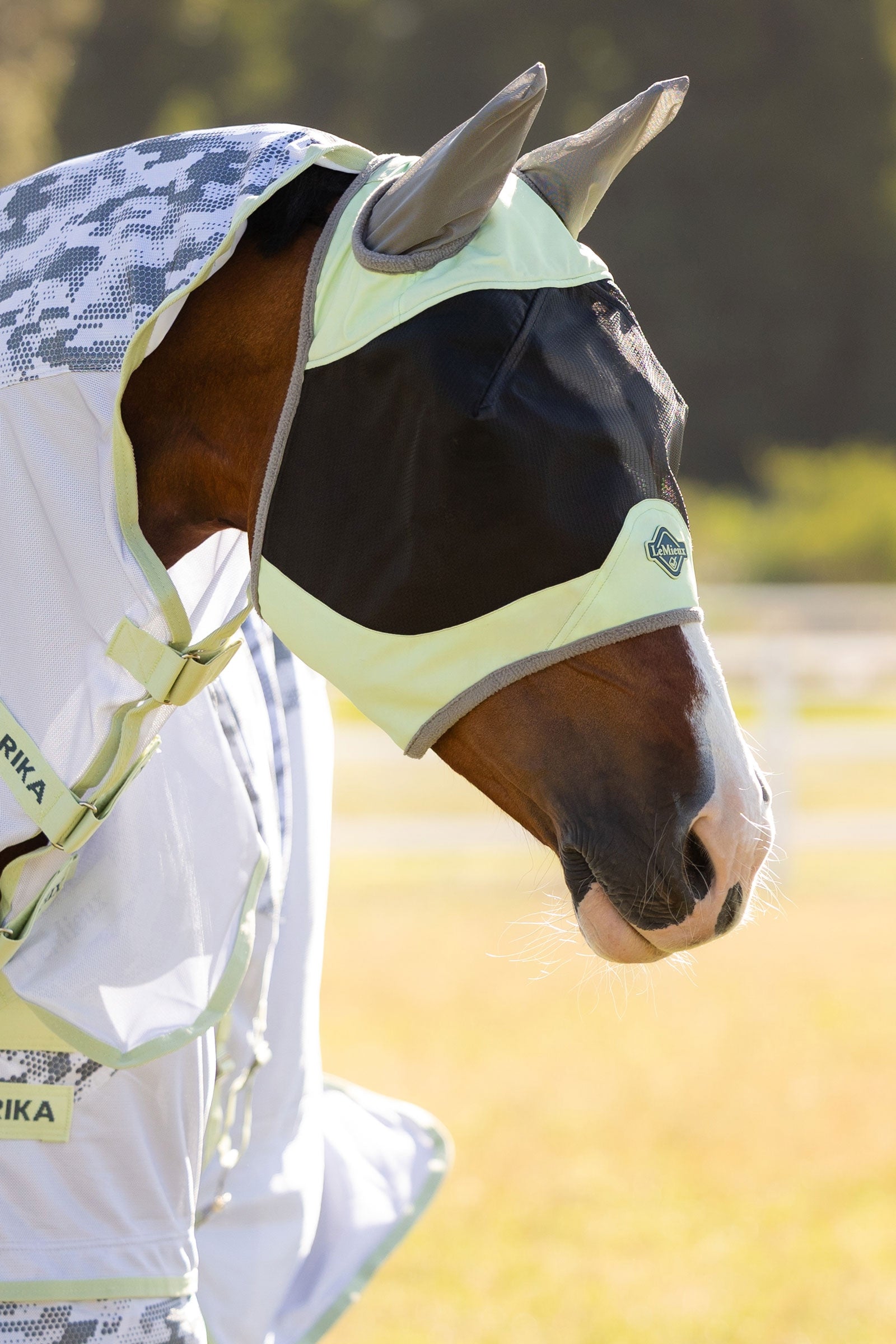 LeMieux Visor-Tek Half Fly Mask Antifly Protection for Horses