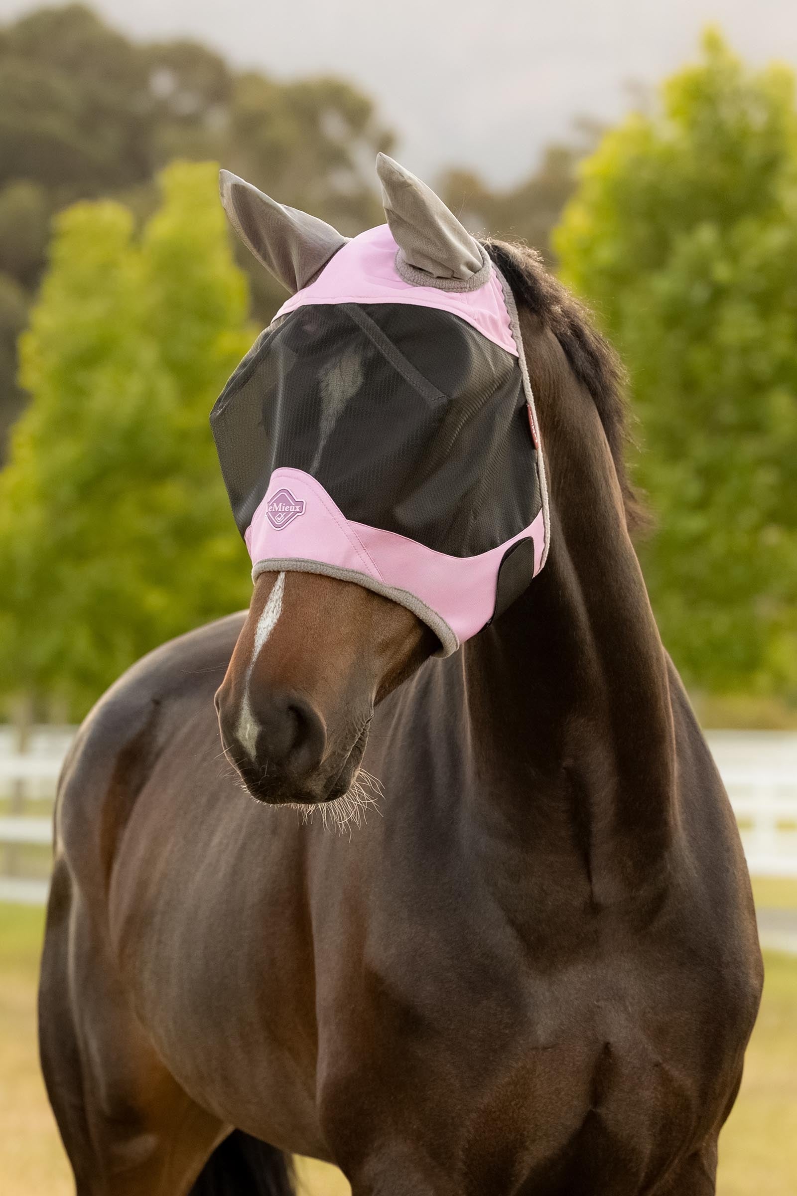 LeMieux Visor-Tek Half Fly Mask Antifly Protection for Horses