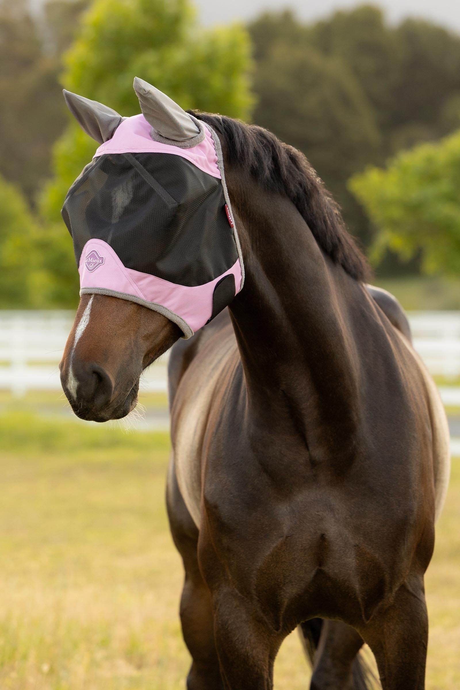 LeMieux Visor-Tek Half Fly Mask Antifly Protection for Horses