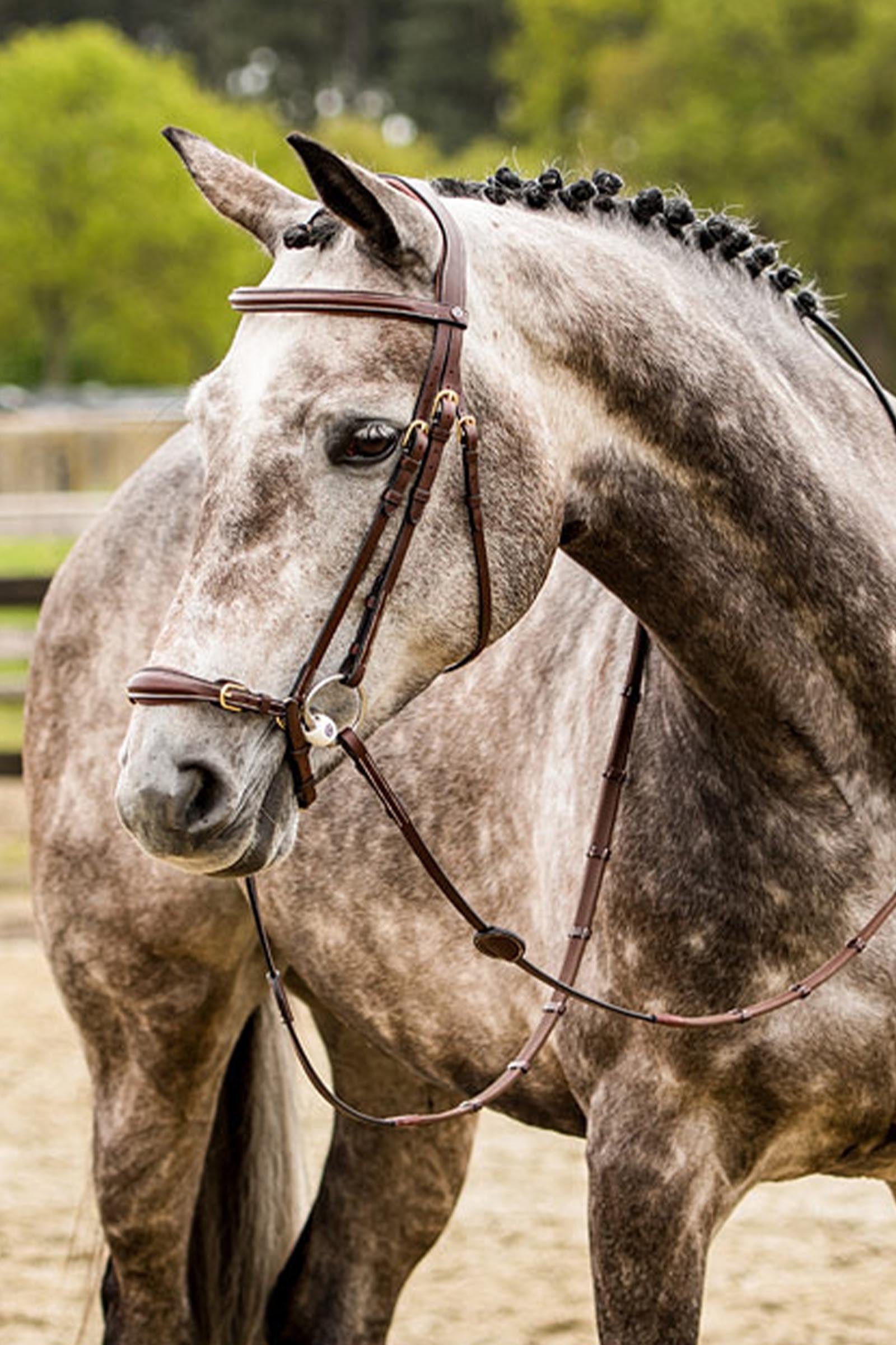 Trust Equestrian Barcelona Adjustable Drop Noseband Bridle Bridles & Reins