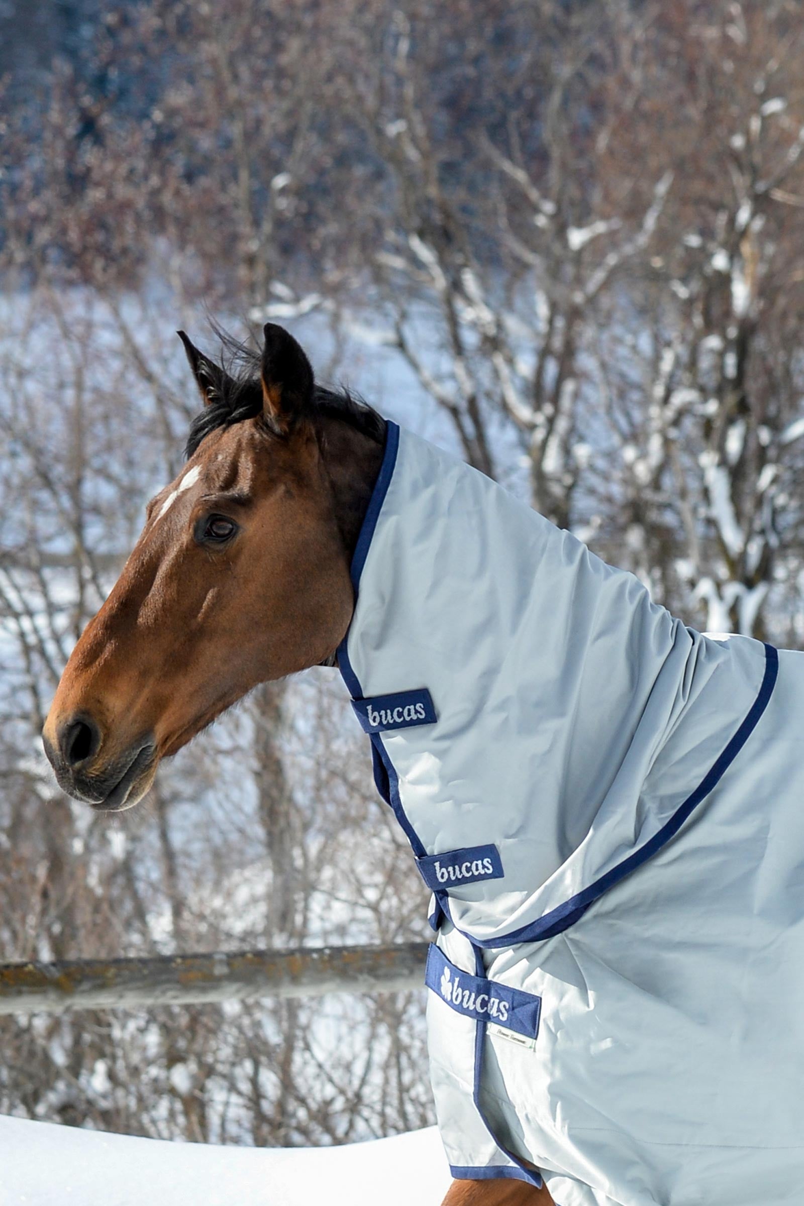 Bucas Power Turnout Neck, 300g Horse Rugs