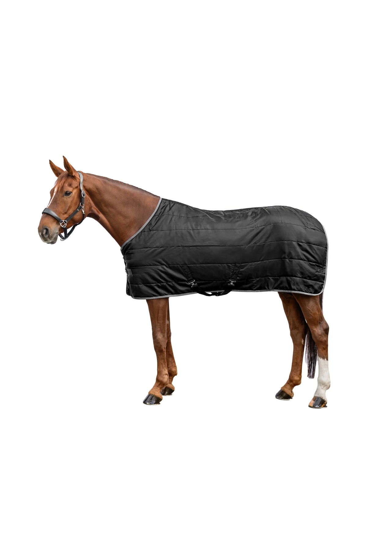 Waldhausen ECONOMIC 420D Manta de Cuadra, 300 g Mantas Caballo