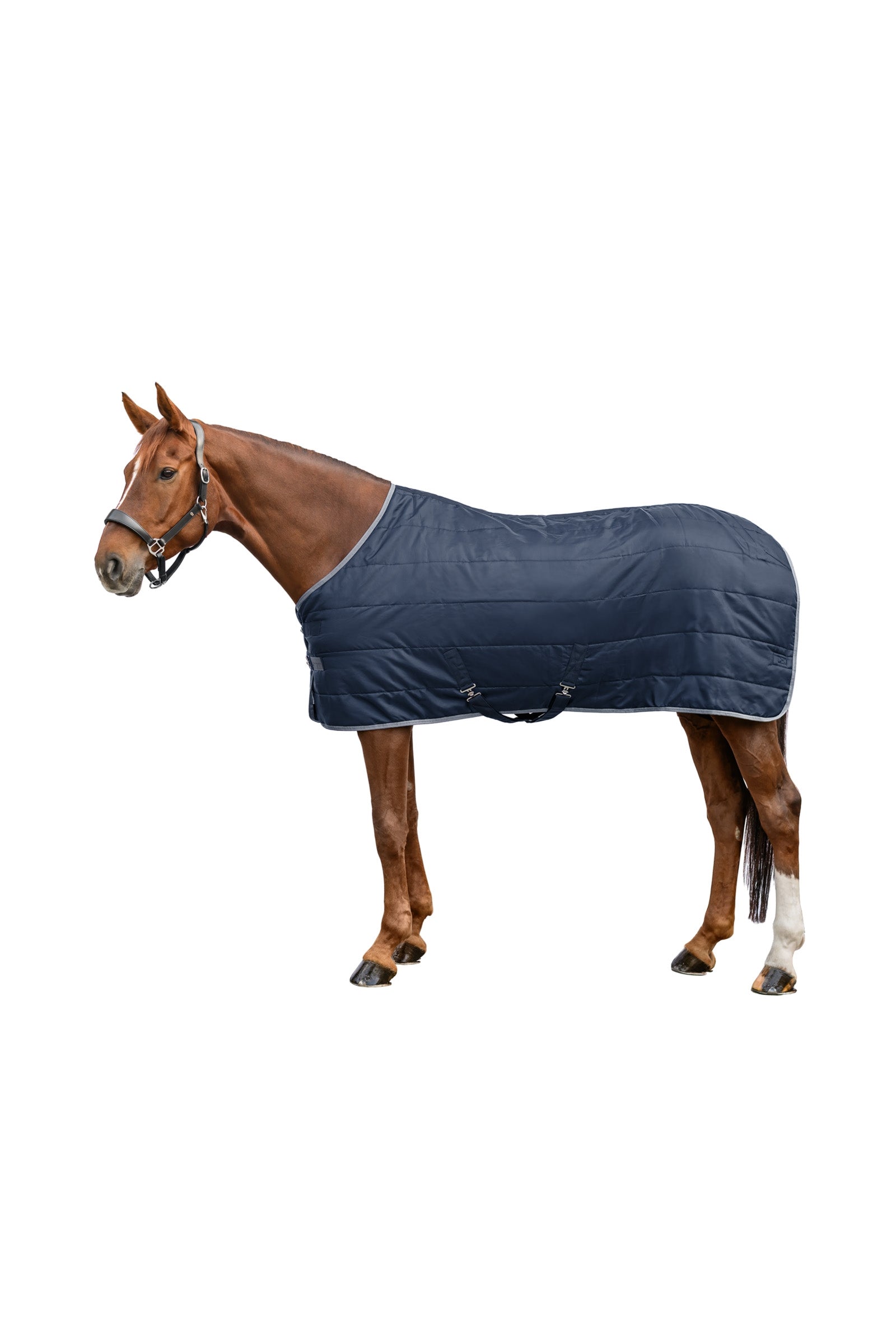 Waldhausen ECONOMIC 420D Manta de Cuadra, 300 g Mantas Caballo
