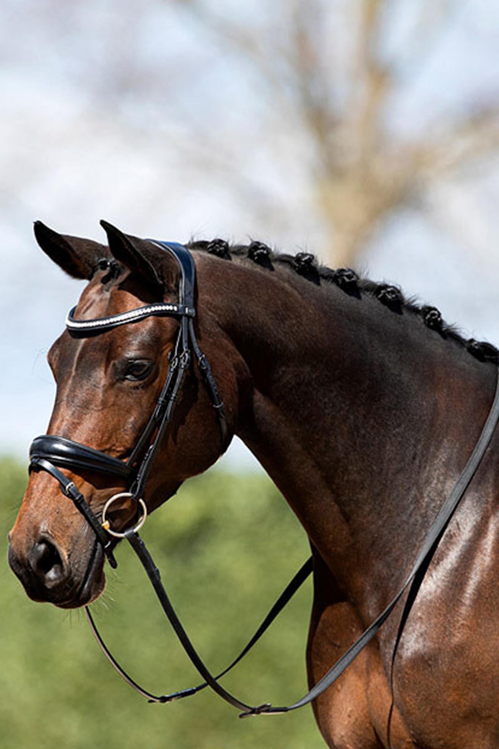 Anky ANKY Anatomic Bridle With Flash Noseband, Padded Bridles & Reins