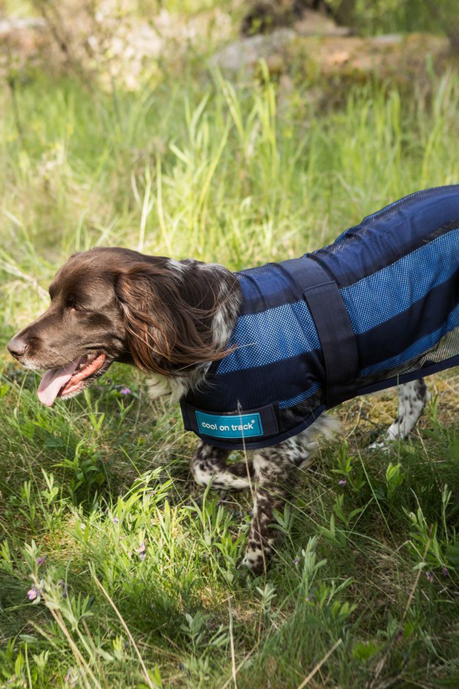 Back on Track Cool On Track Dog Coat 2.0 Dog Accesories