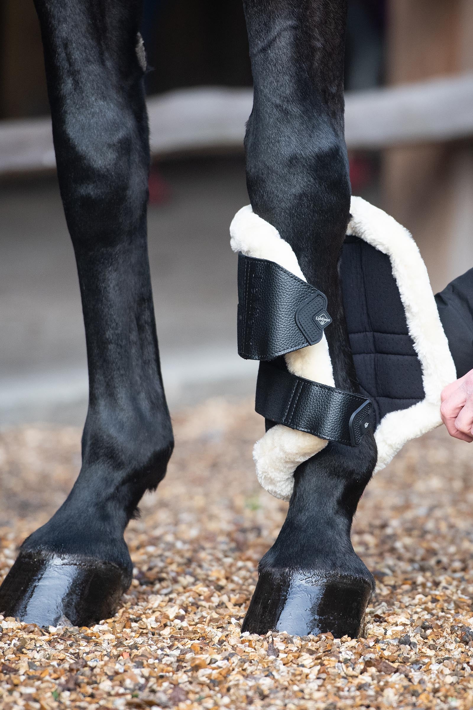 LeMieux Mesh Brushing Boots With Fleece Edging Leg Protection & Hoof Protection for Horses