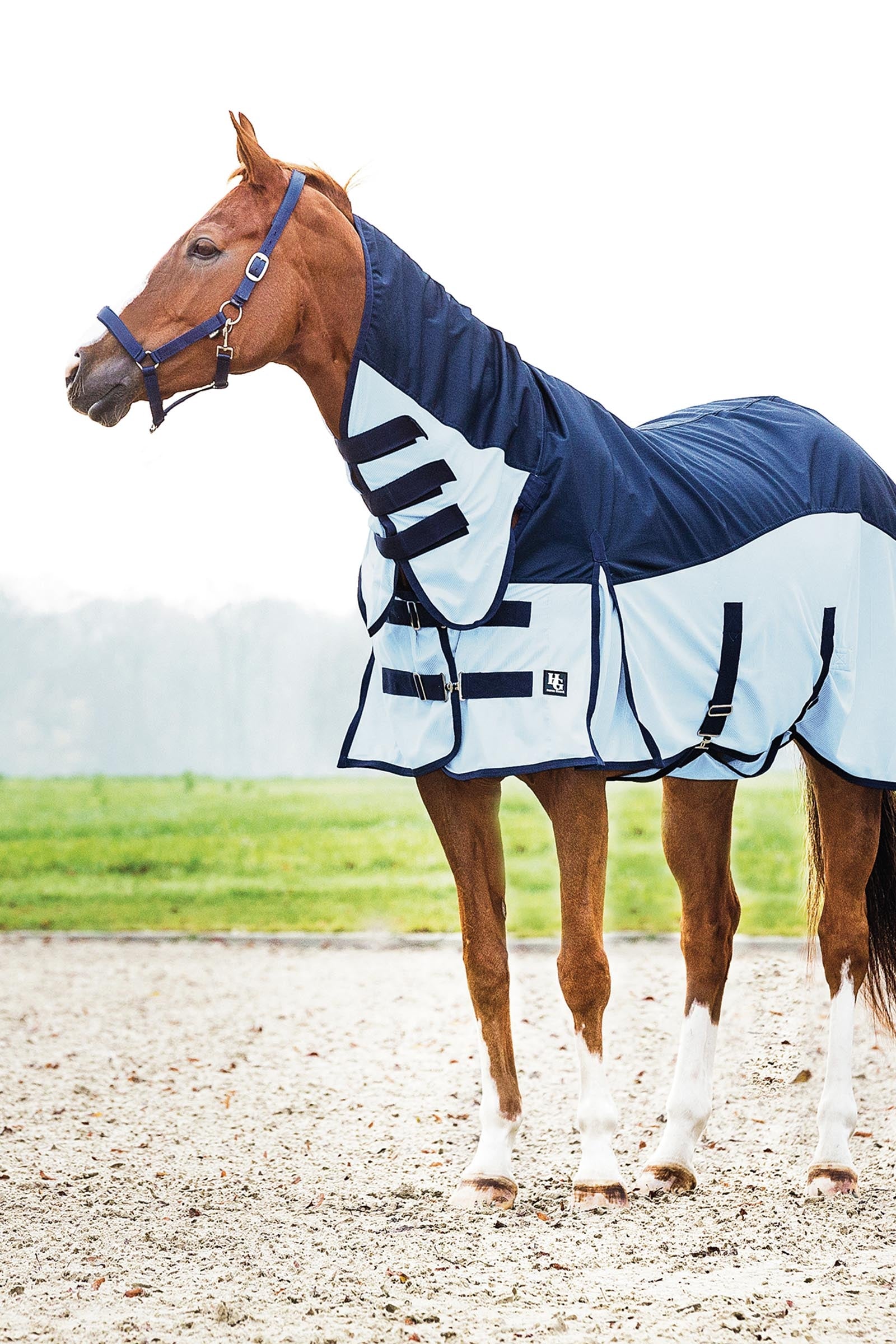 Horse Guard HorseGuard Aiman Rain & Insect Rug Mantas Caballo