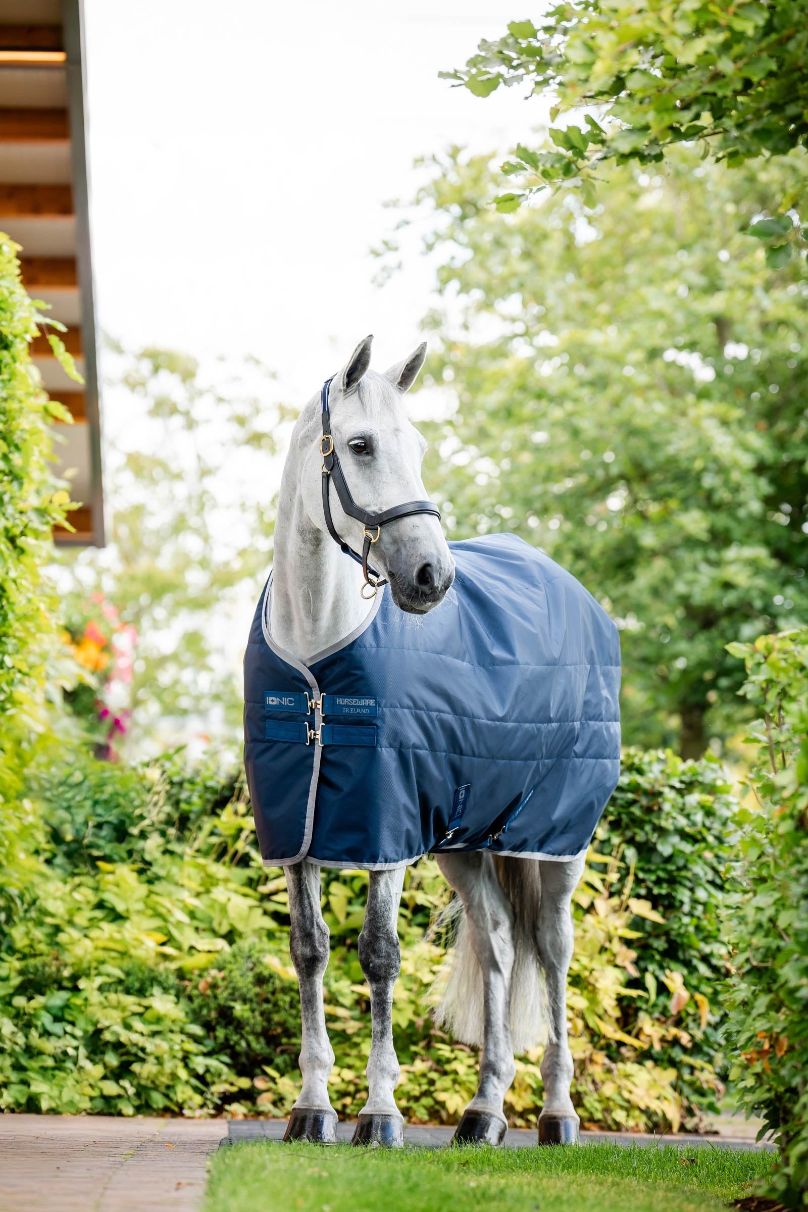 Horseware Ionic Therapy Manta de Cuadra, 50g Mantas Caballo