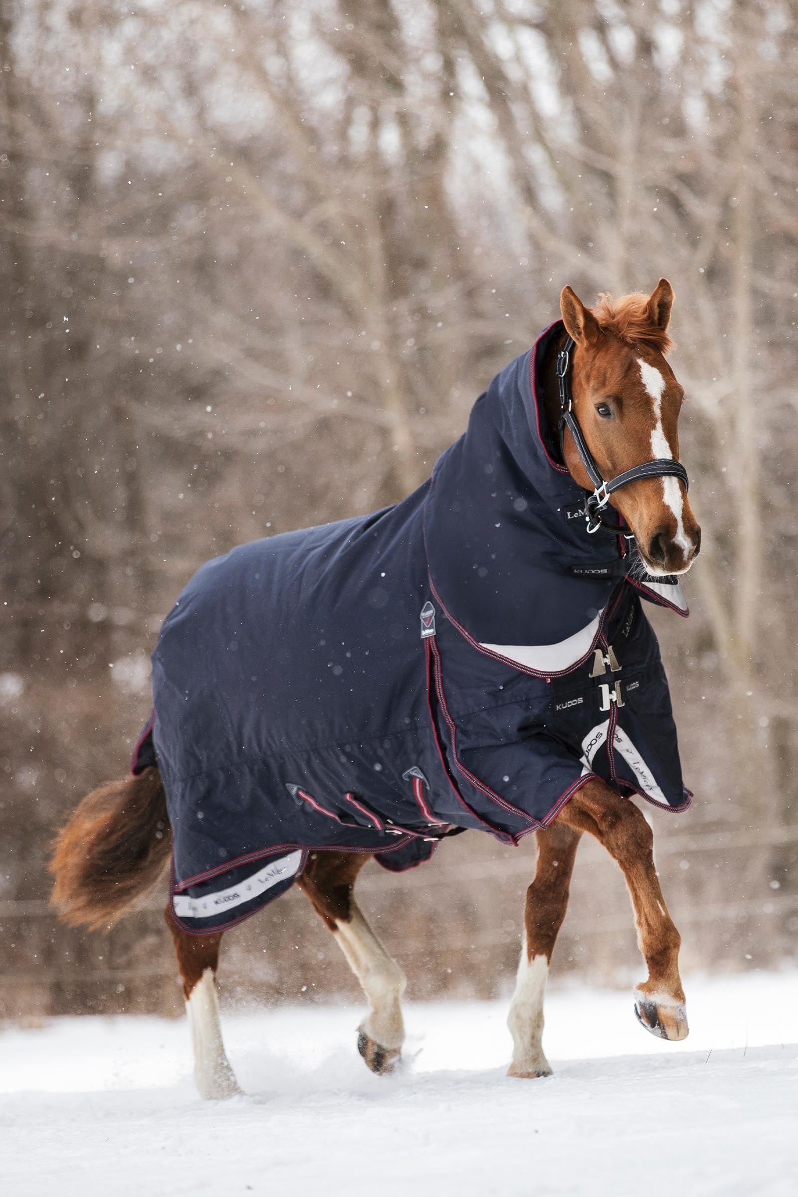 LeMieux Kudos Turnout Rug, 200 g Mantas Caballo