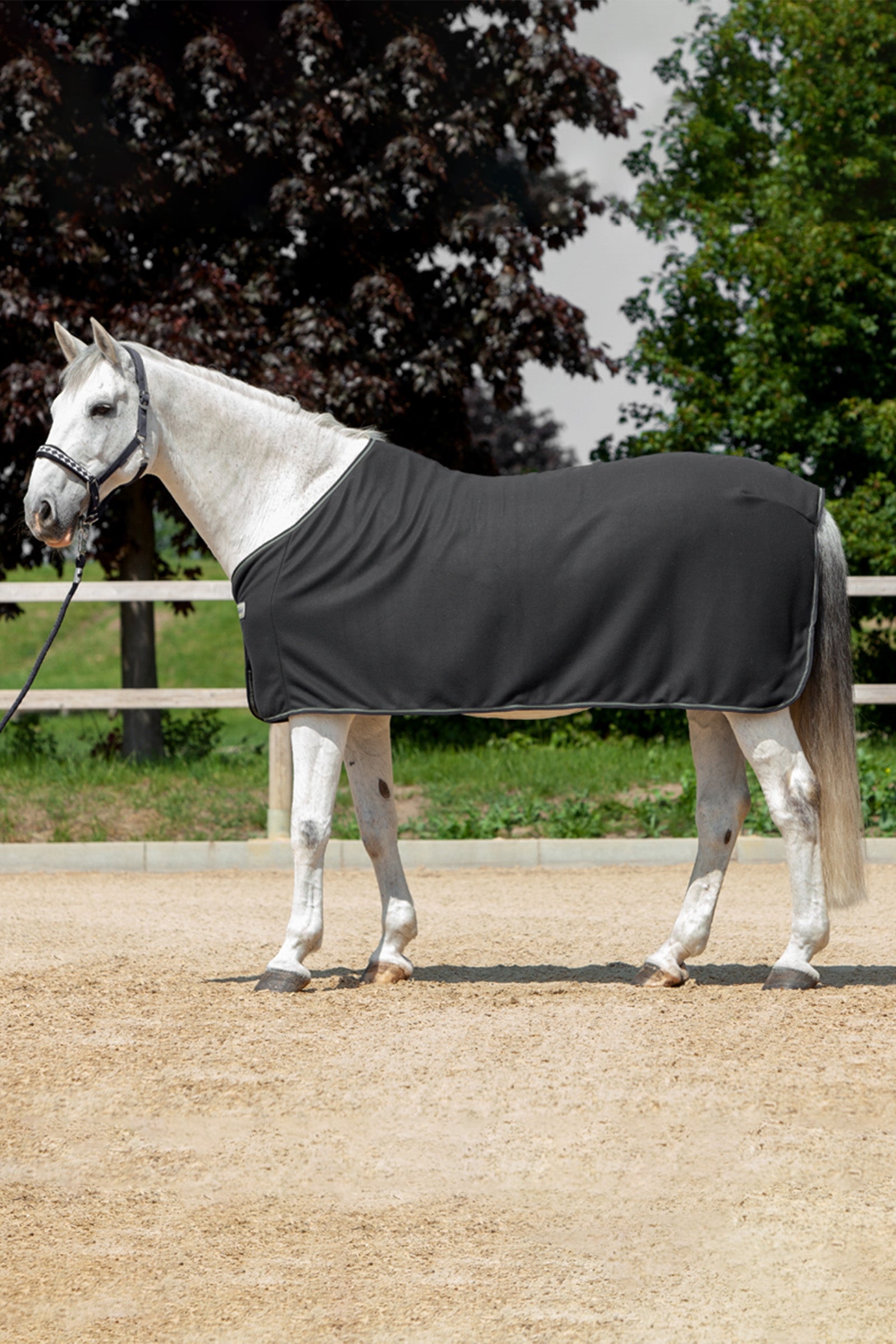 Kavalkade Fleece Cooler Horse Rugs