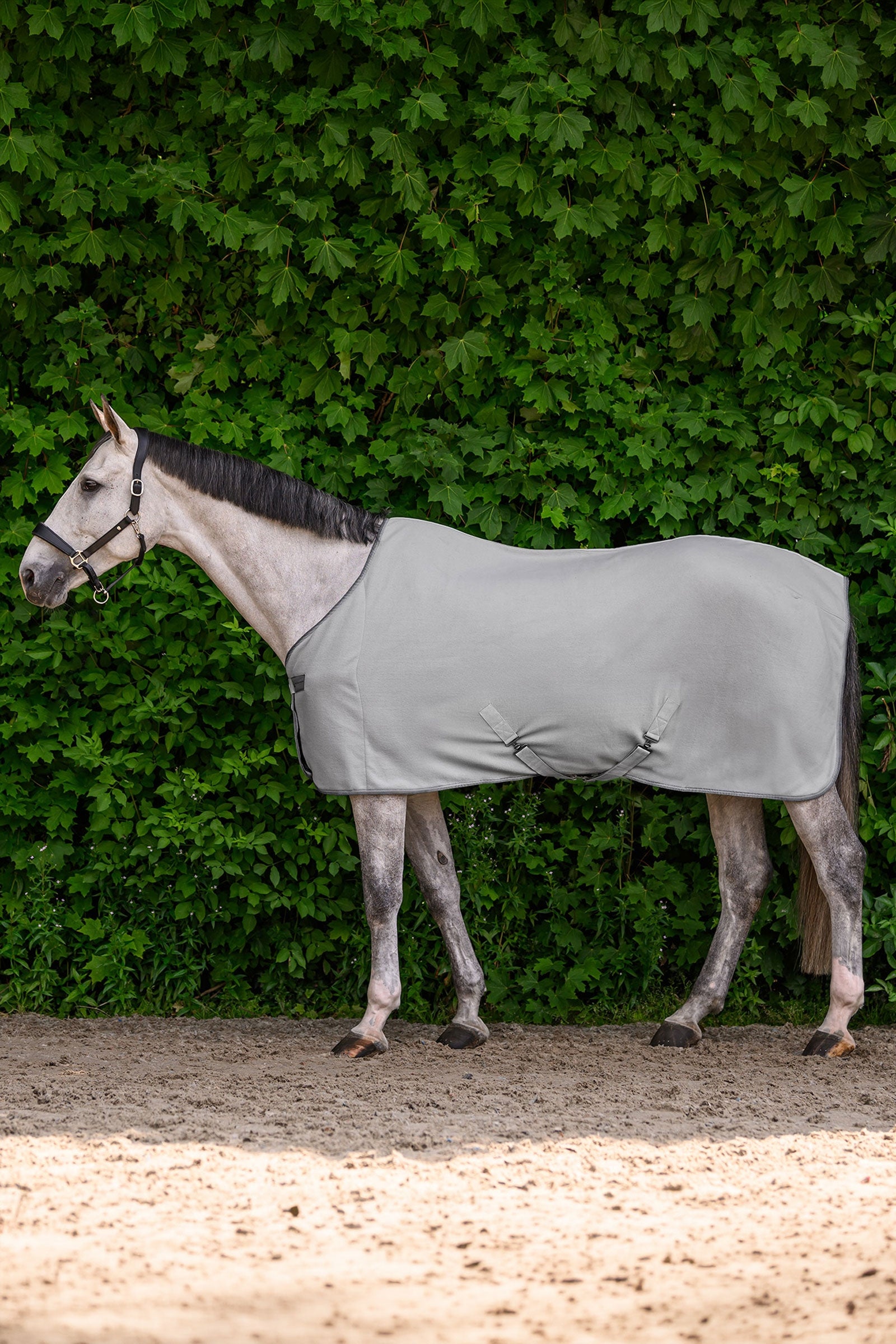 Waldhausen ECONOMIC manta polar con cinchas cruzadas Mantas Caballo