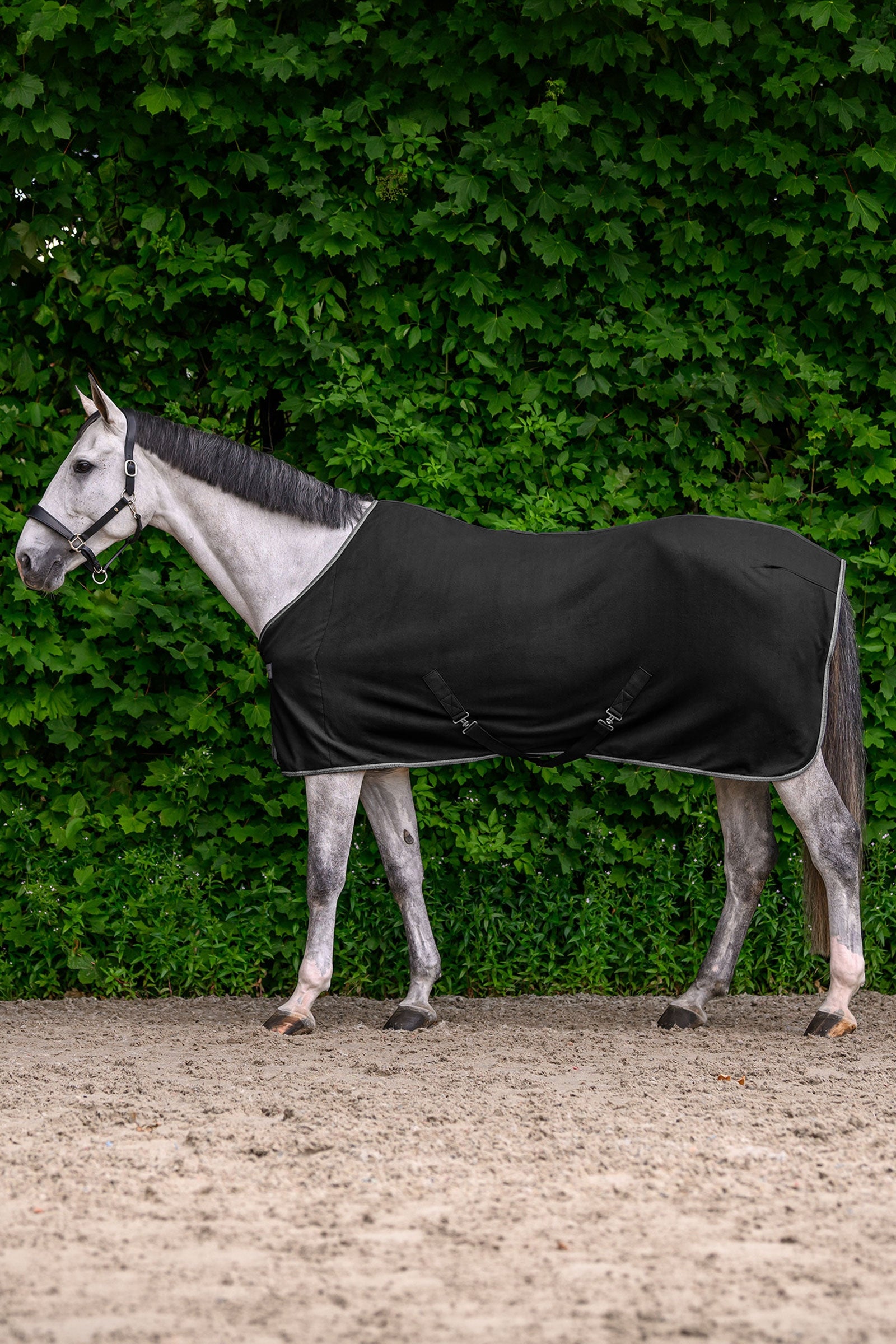 Waldhausen ECONOMIC manta polar con cinchas cruzadas Mantas Caballo