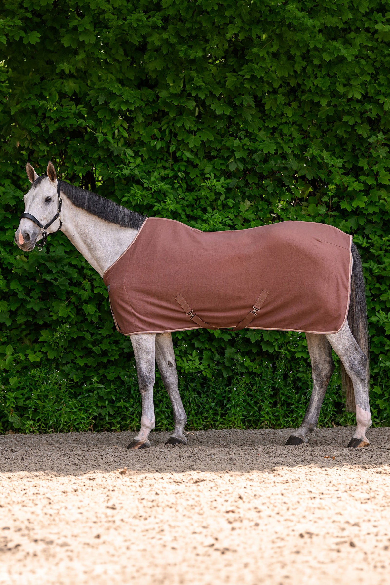 Waldhausen ECONOMIC manta polar con cinchas cruzadas Mantas Caballo