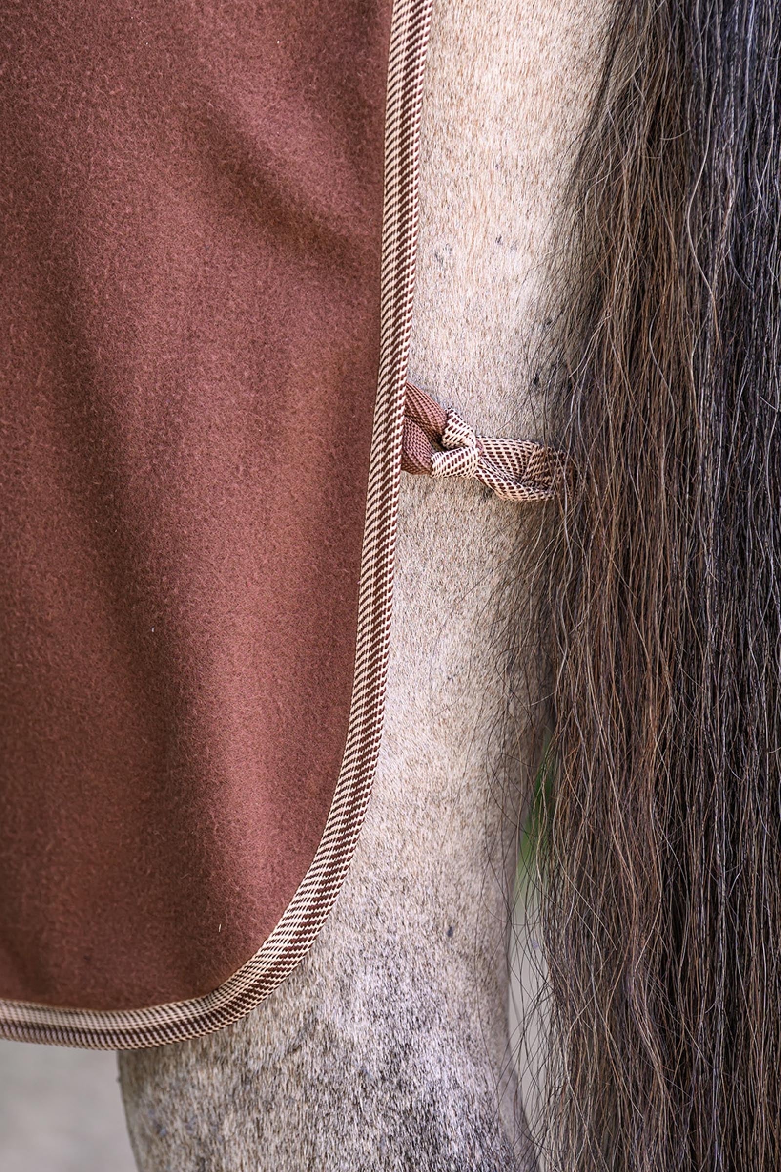 Waldhausen ECONOMIC Fleece Rug with Cross Surcingles Horse Rugs