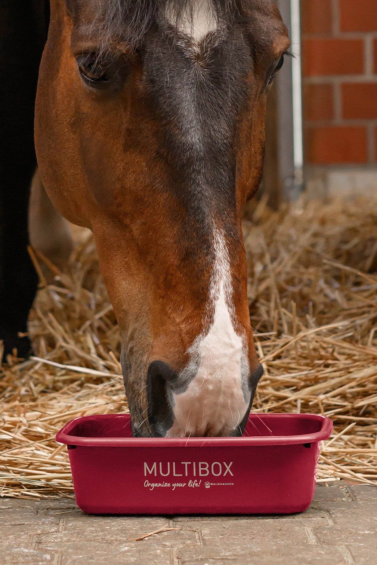 Waldhausen Multibox With Lid, 3 L Horse Feeders & Waterers