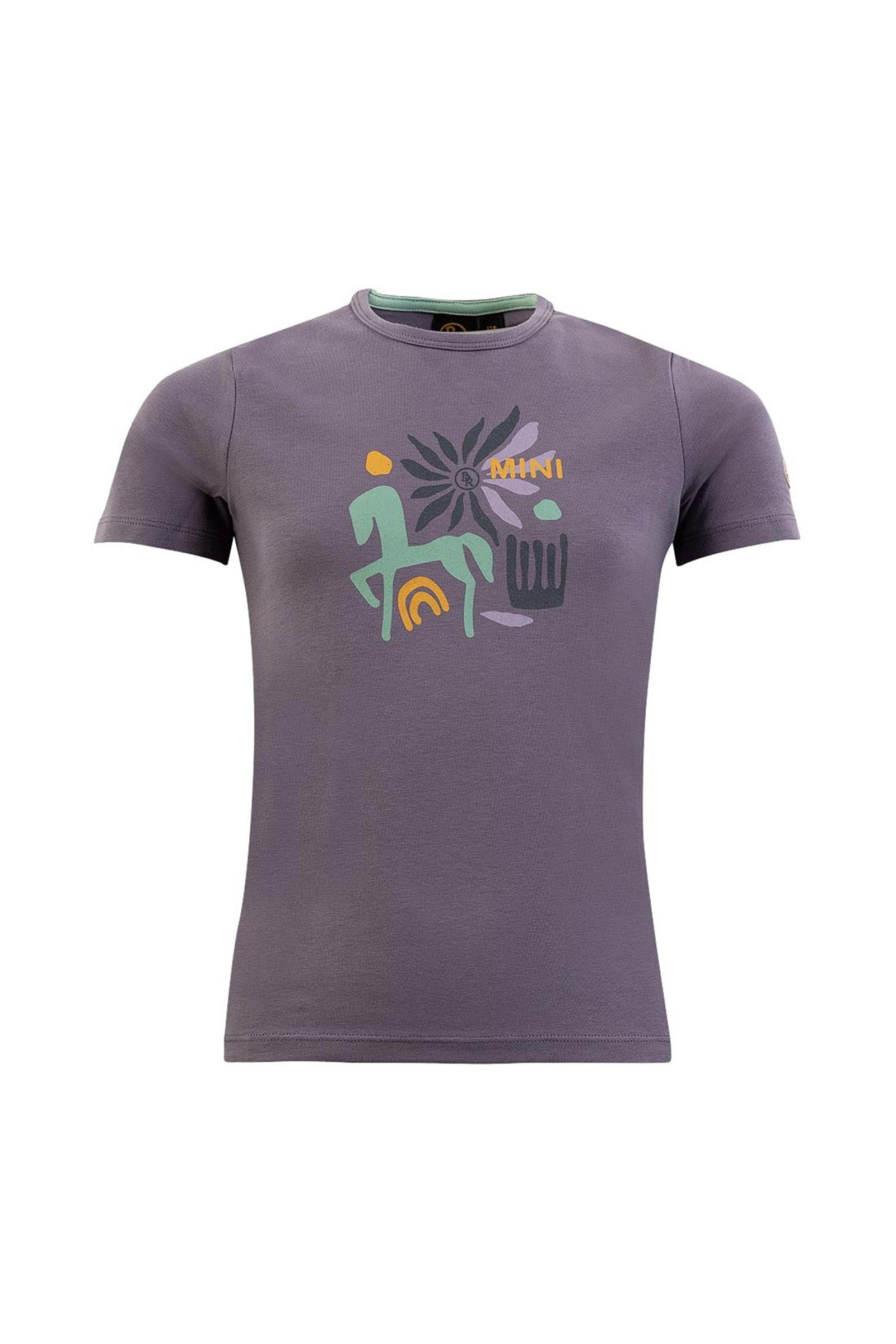 BR Mini Horse camiseta infantil Ropa Niños