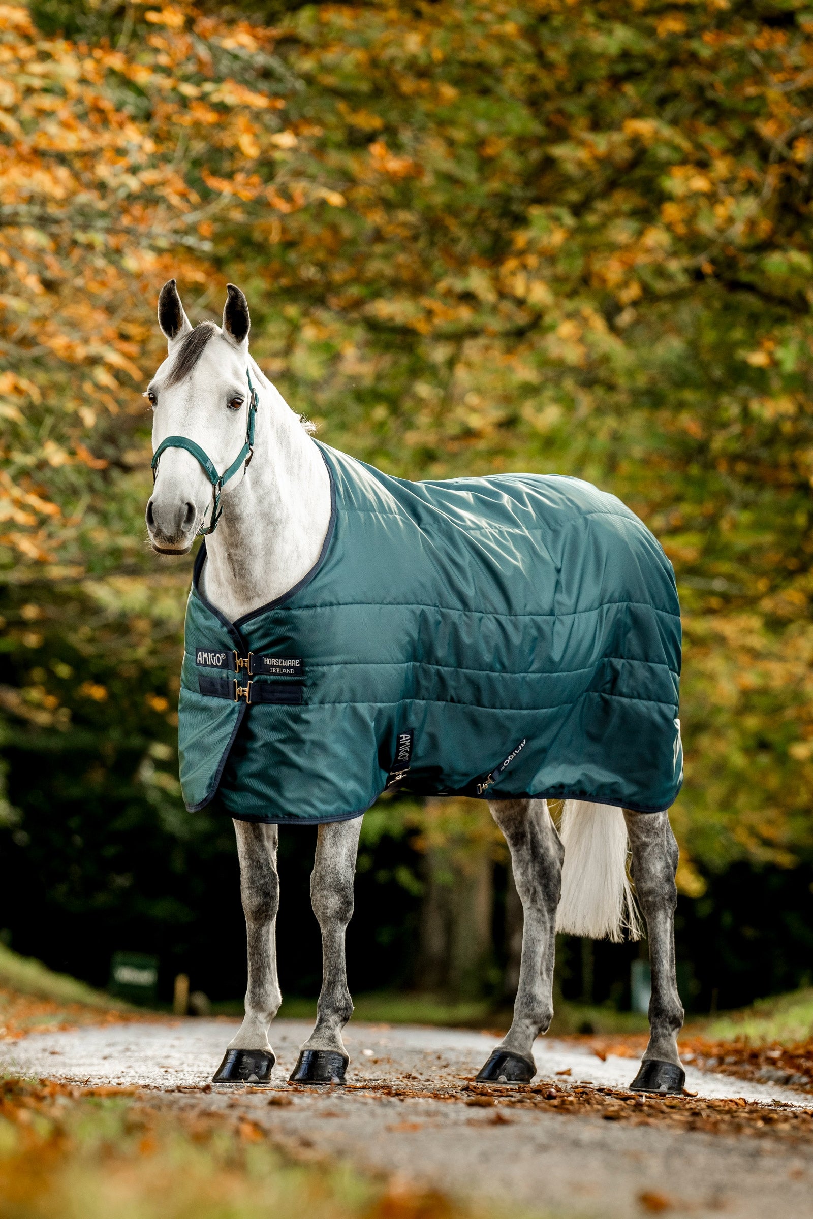 Horseware Amigo Ripstop Insulator Manta de Cuadra, 50g Mantas Caballo