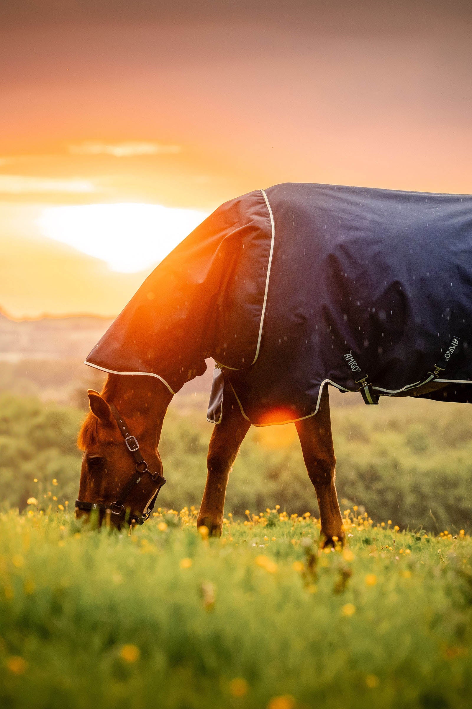 Horseware Amigo Ripstop 900D Plus Turnout, 200g Horse Rugs