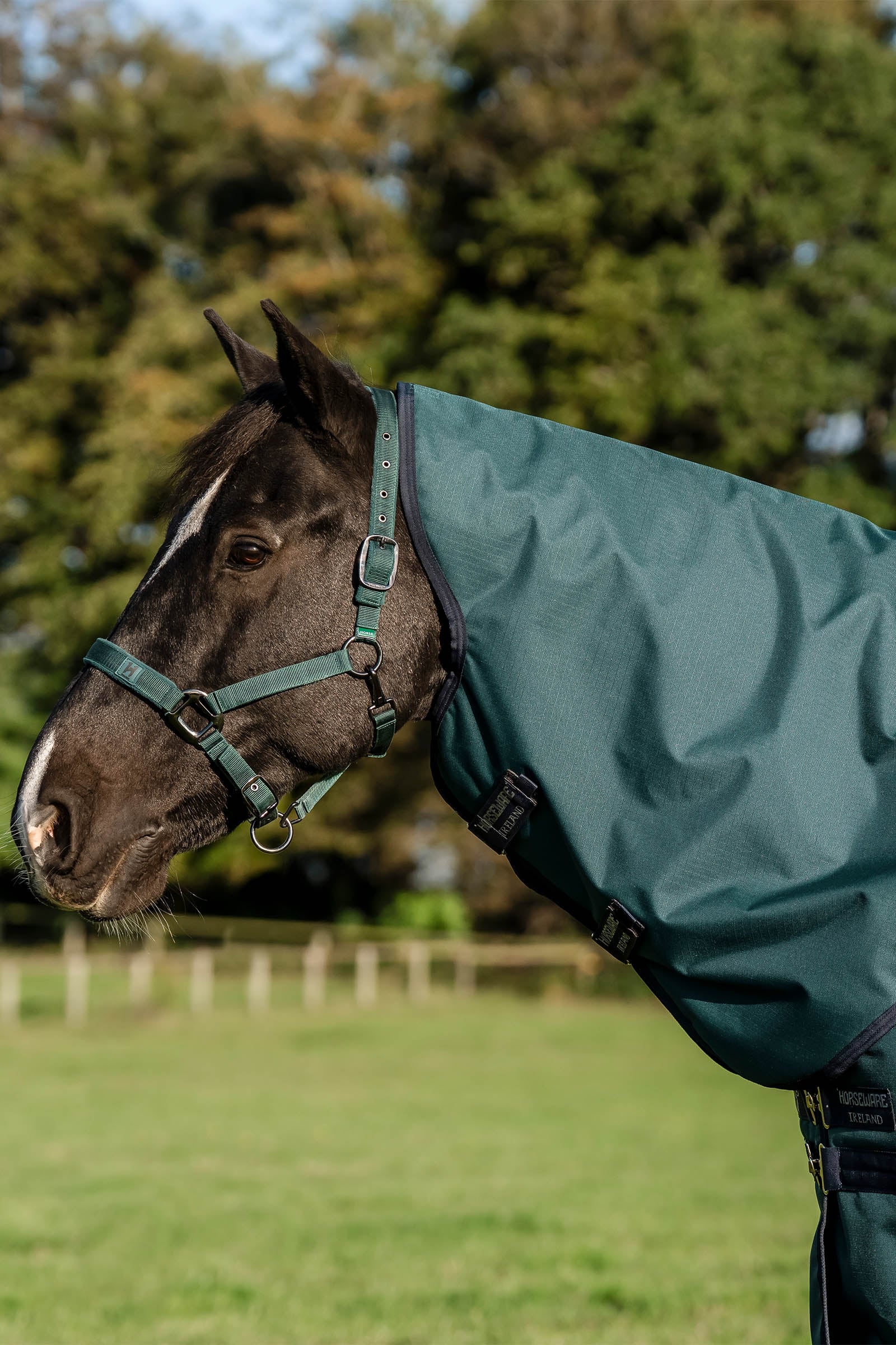 Horseware Amigo Ripstop 900D Plus Turnout, 200g Horse Rugs