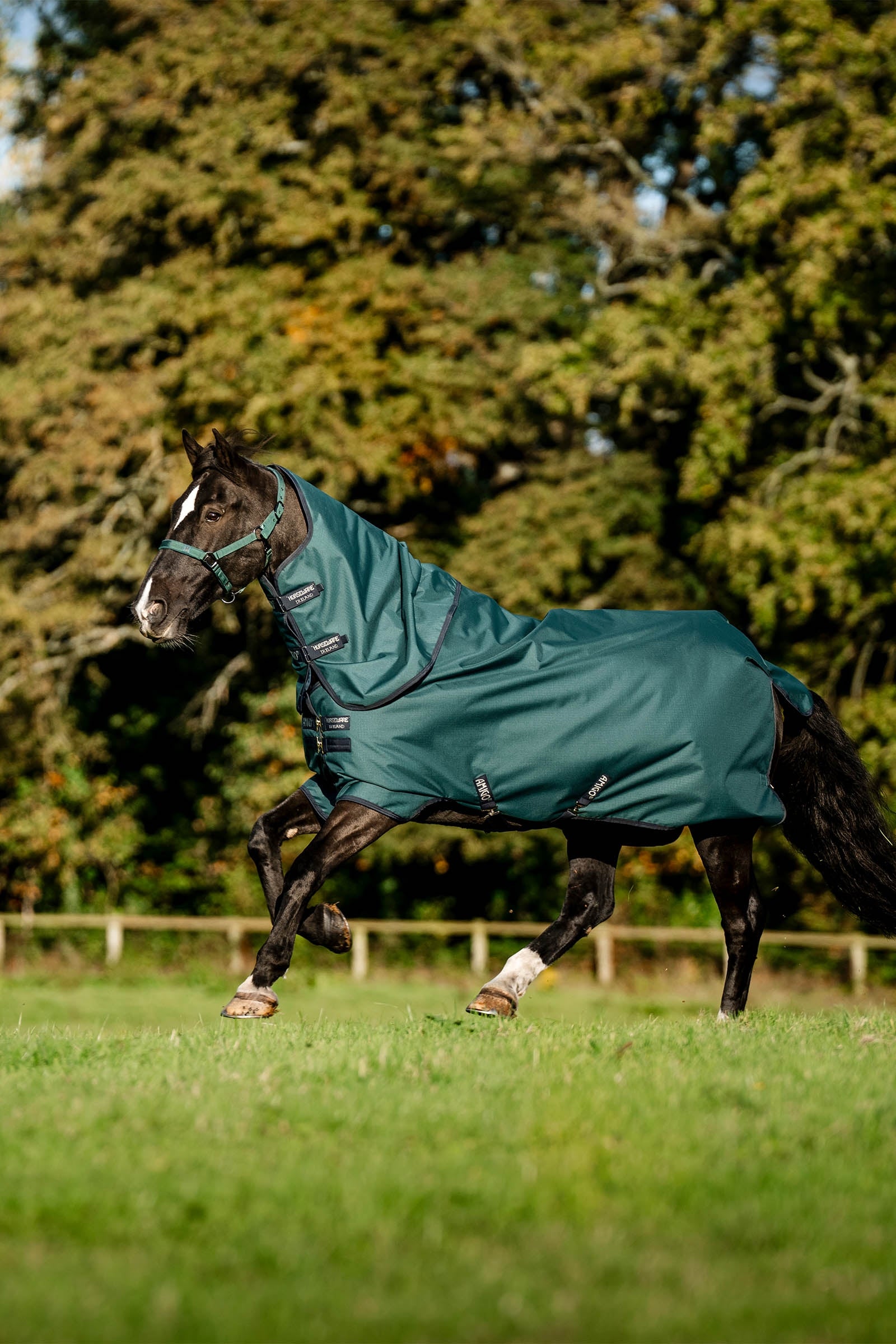 Horseware Amigo Ripstop 900D Plus Turnout, 200g Horse Rugs