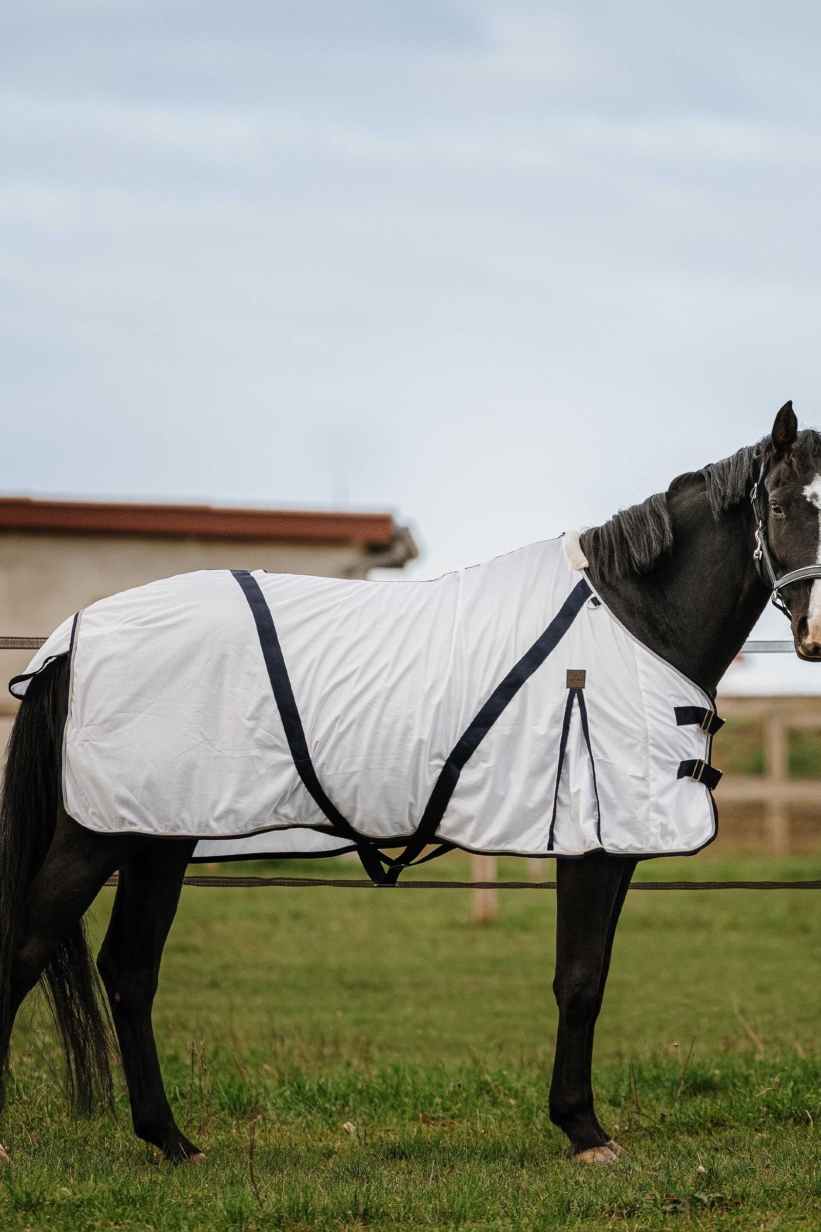 Equi Theme EQUITHÈME Mesh Anti-Insect Sheet Horse Rugs