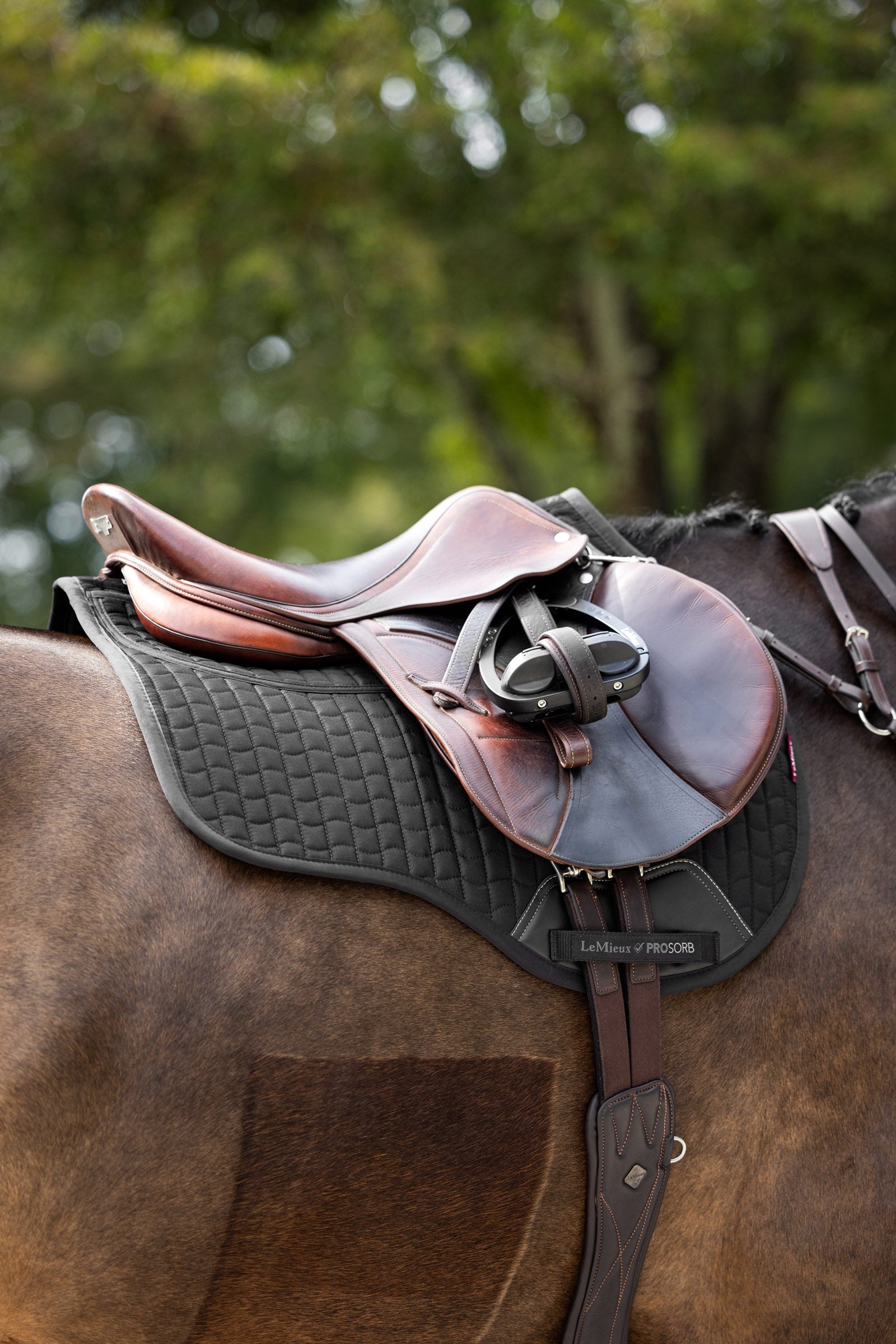 LeMieux Prosorb Plain 2 Pocket GP Square Pad Saddle Pads