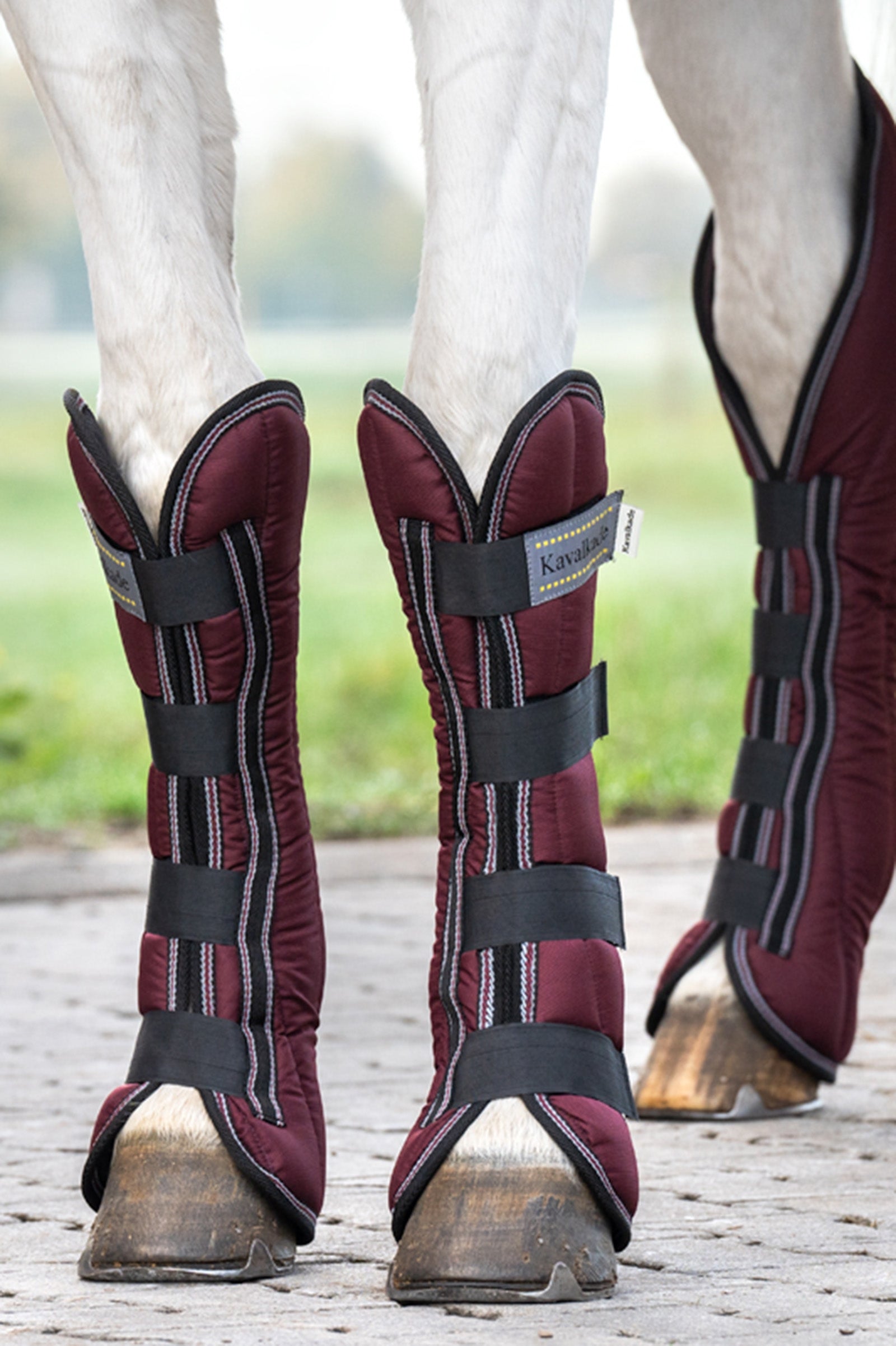 Kavalkade Montreal Travelling Boots (Set of 4) Leg Protection & Hoof Protection for Horses