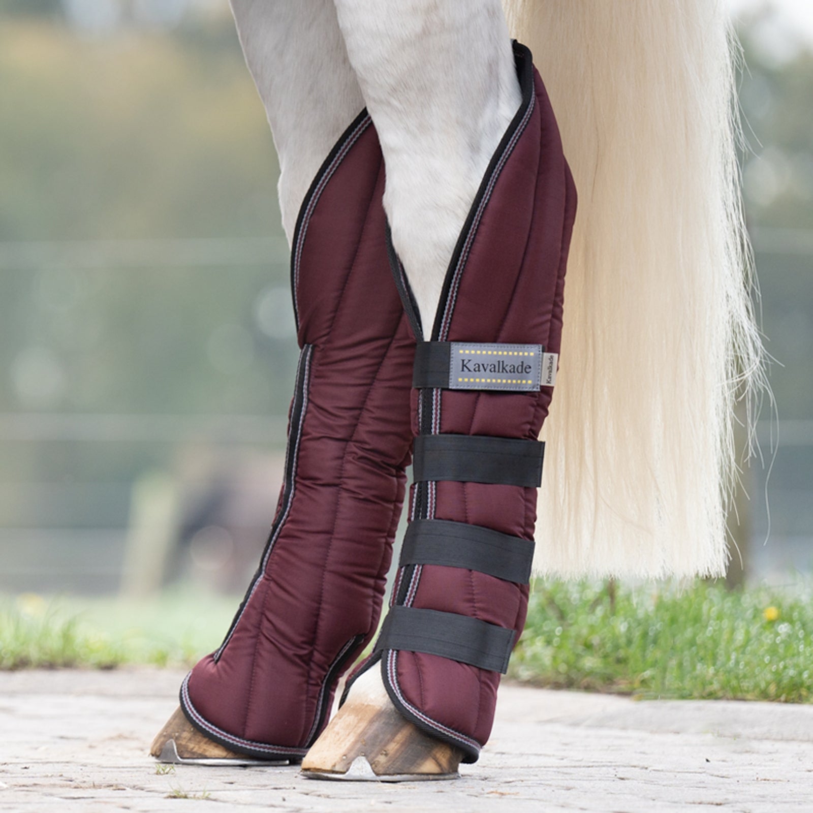Kavalkade Montreal Travelling Boots (Set of 4) Leg & Hoof Protection