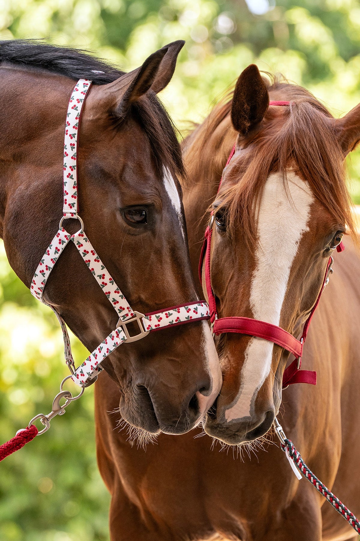 Waldhausen Plus Lead Rope With Snap Hook Halters & Leads