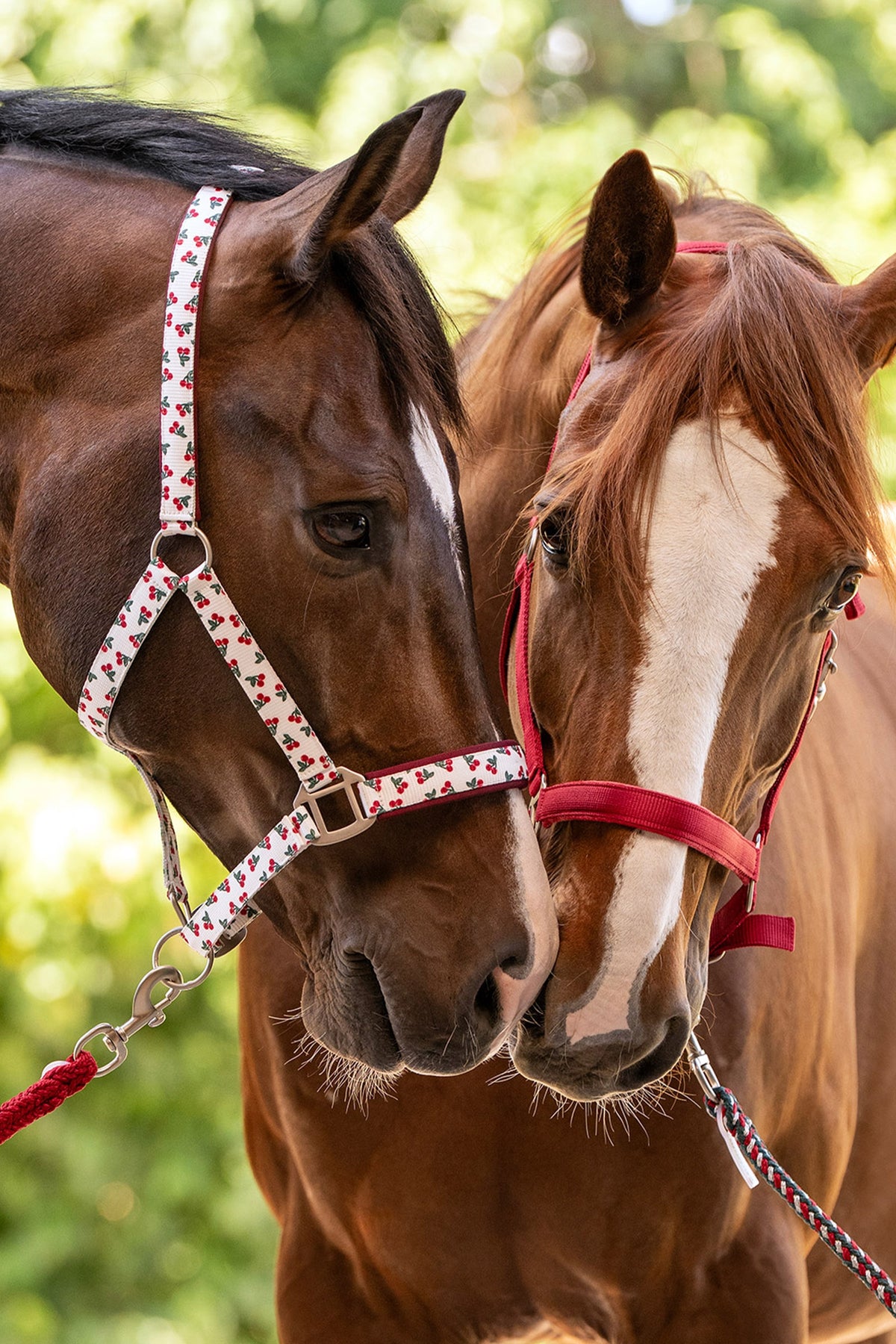 Waldhausen Plus Lead Rope With Snap Hook Halters & Leads