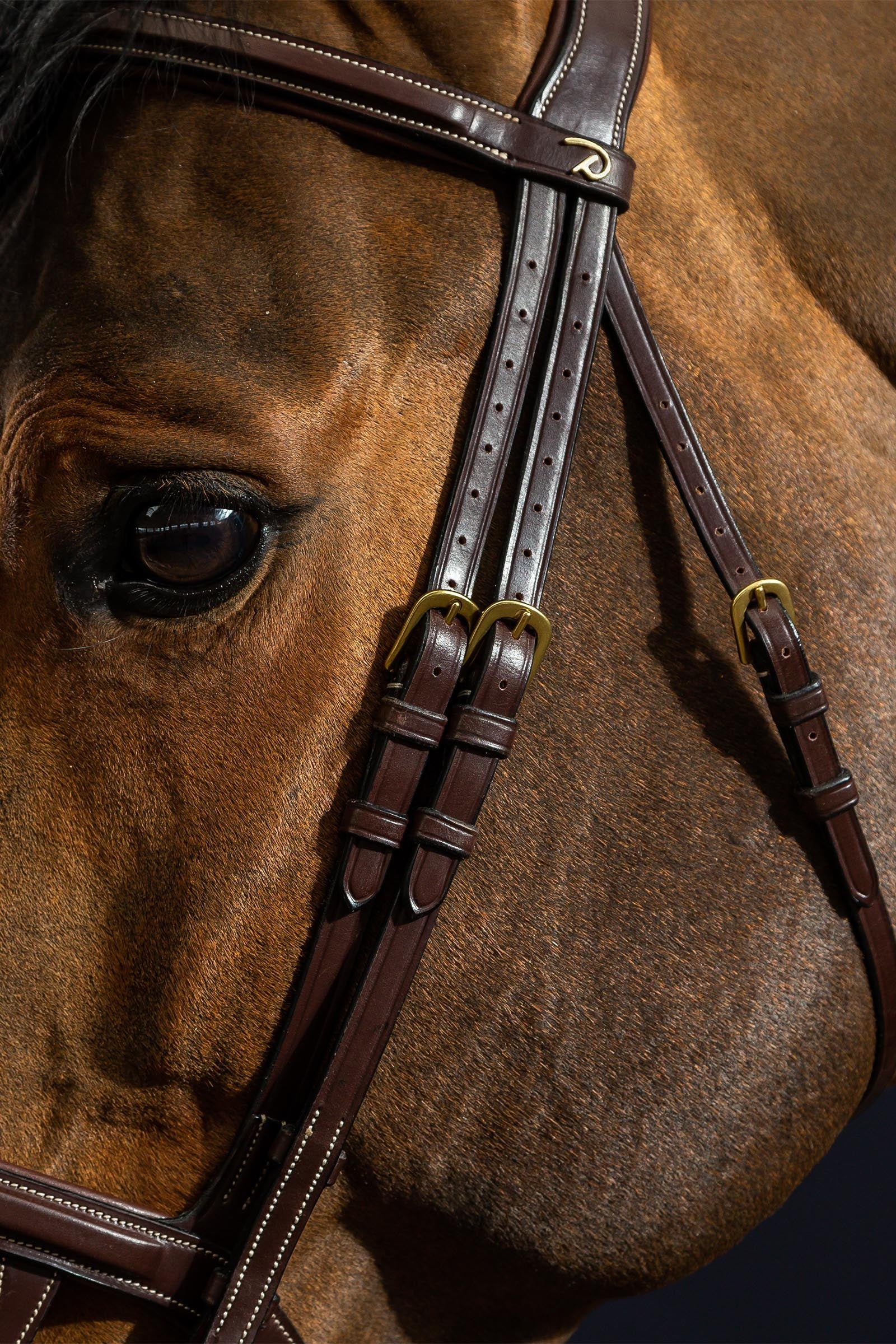 Dy'on D Collection Double Noseband Bridle Bridles & Reins