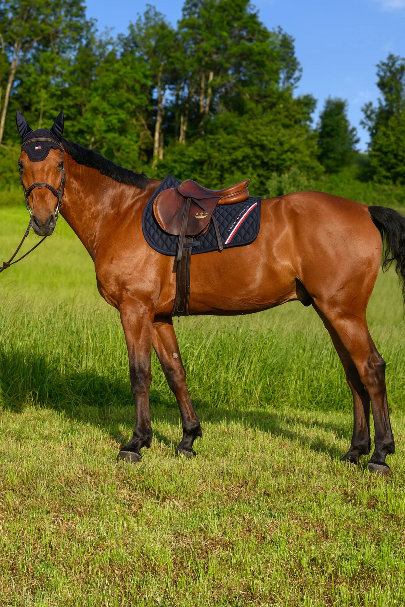 Tommy Hilfiger Equestrian Stanford Jumping Saddlepad Saddle Pads