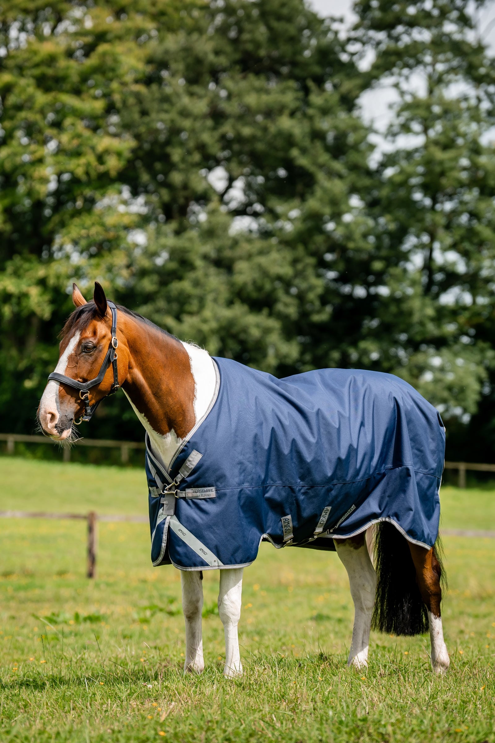 Horseware Amigo 1200D manta de exterior, 250 g Mantas Caballo