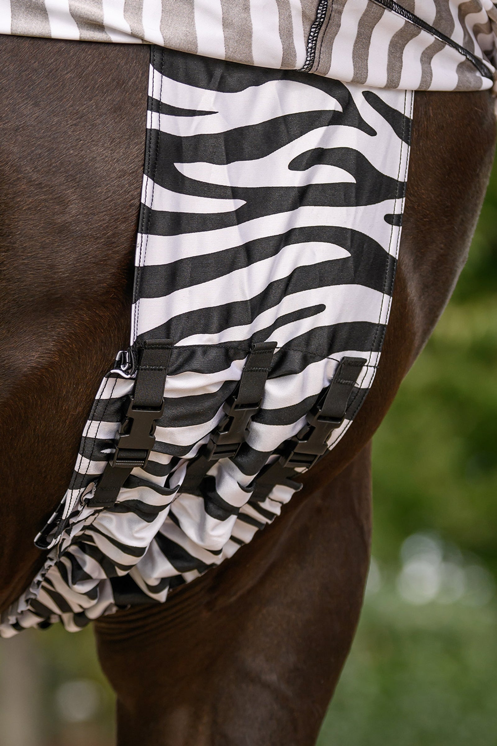 Waldhausen Zebra Eczema Rug Horse Rugs