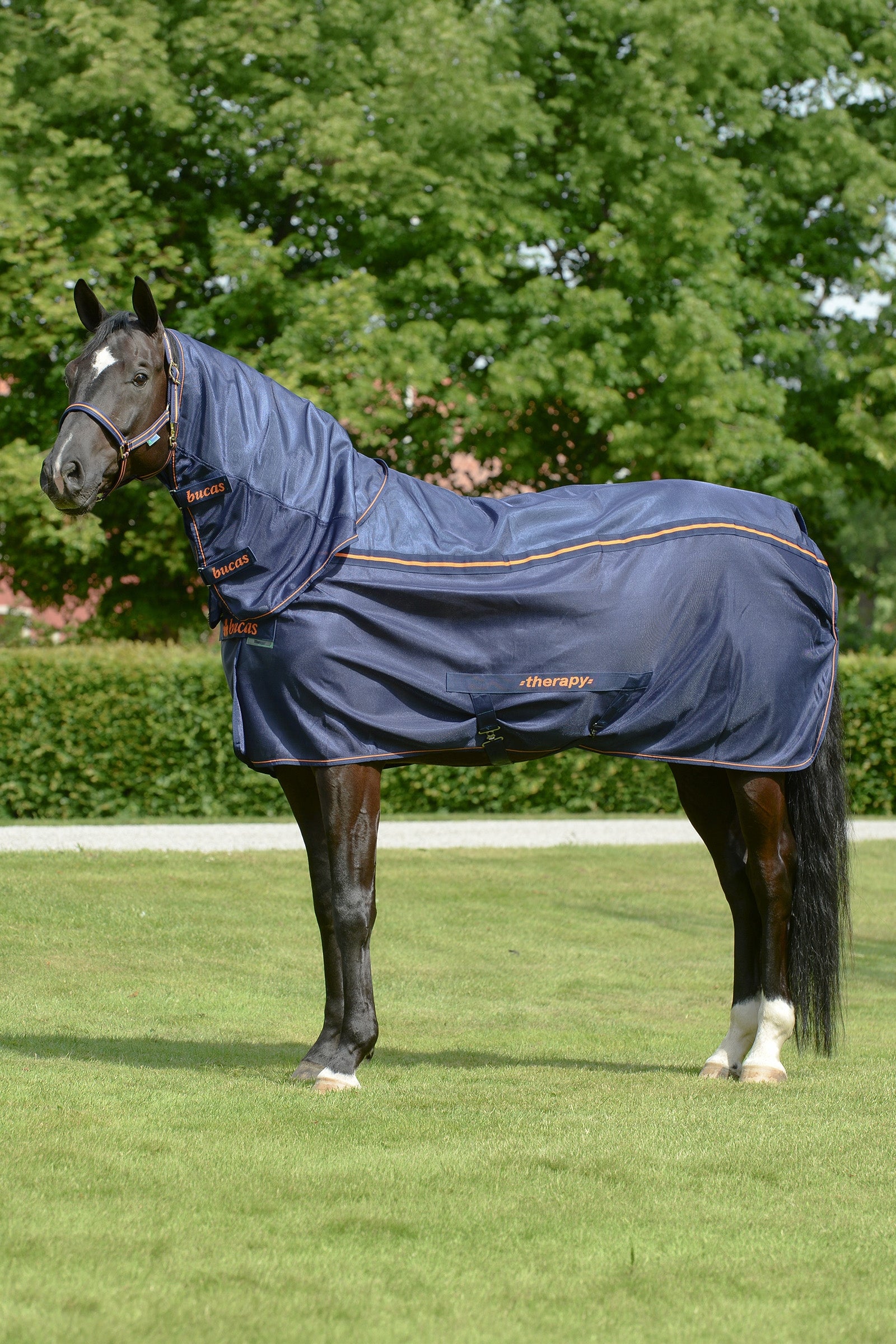 Bucas Therapy Mesh Neck Horse Rugs