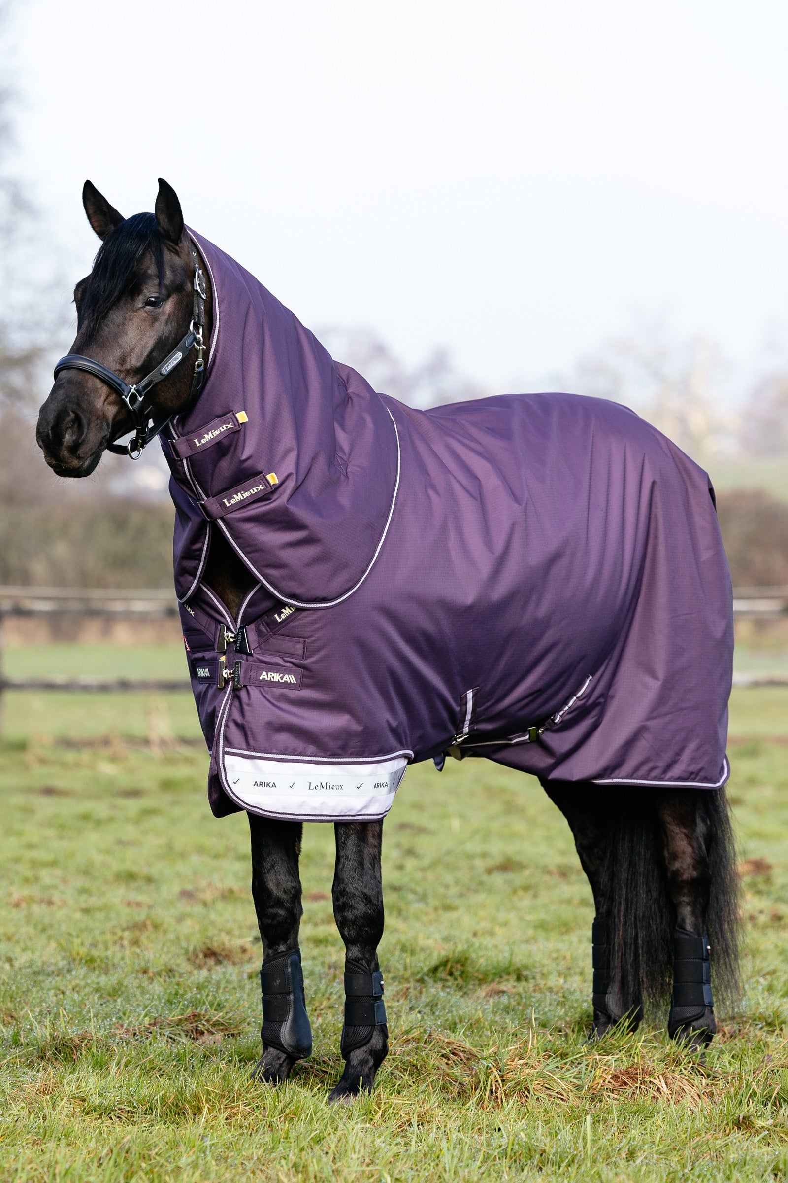 LeMieux Arika Ripstop Turnout Rug With Detachable Neck, 100 g Mantas Caballo