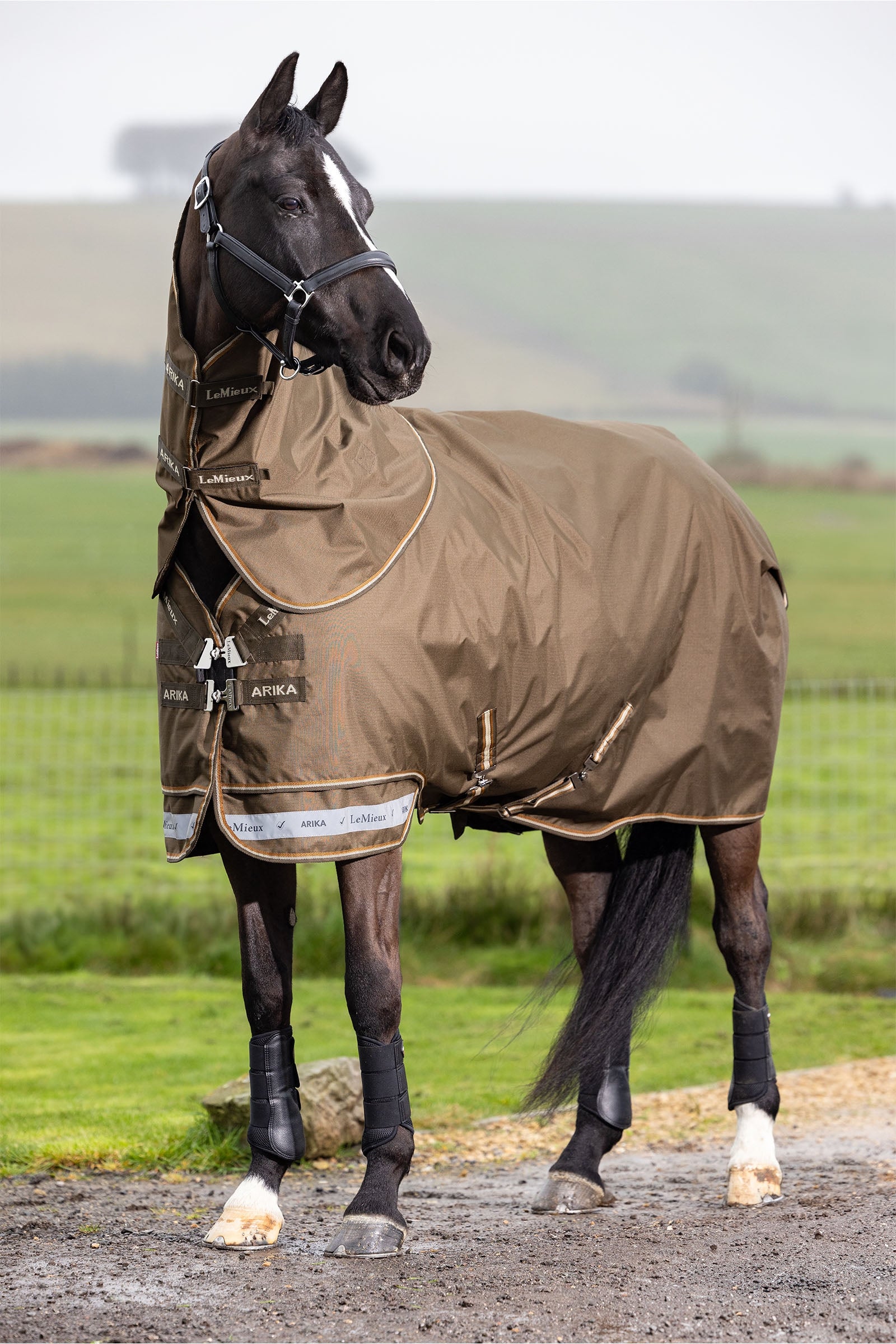 LeMieux Arika Ripstop Turnout Rug With Detachable Neck, 100 g Mantas Caballo