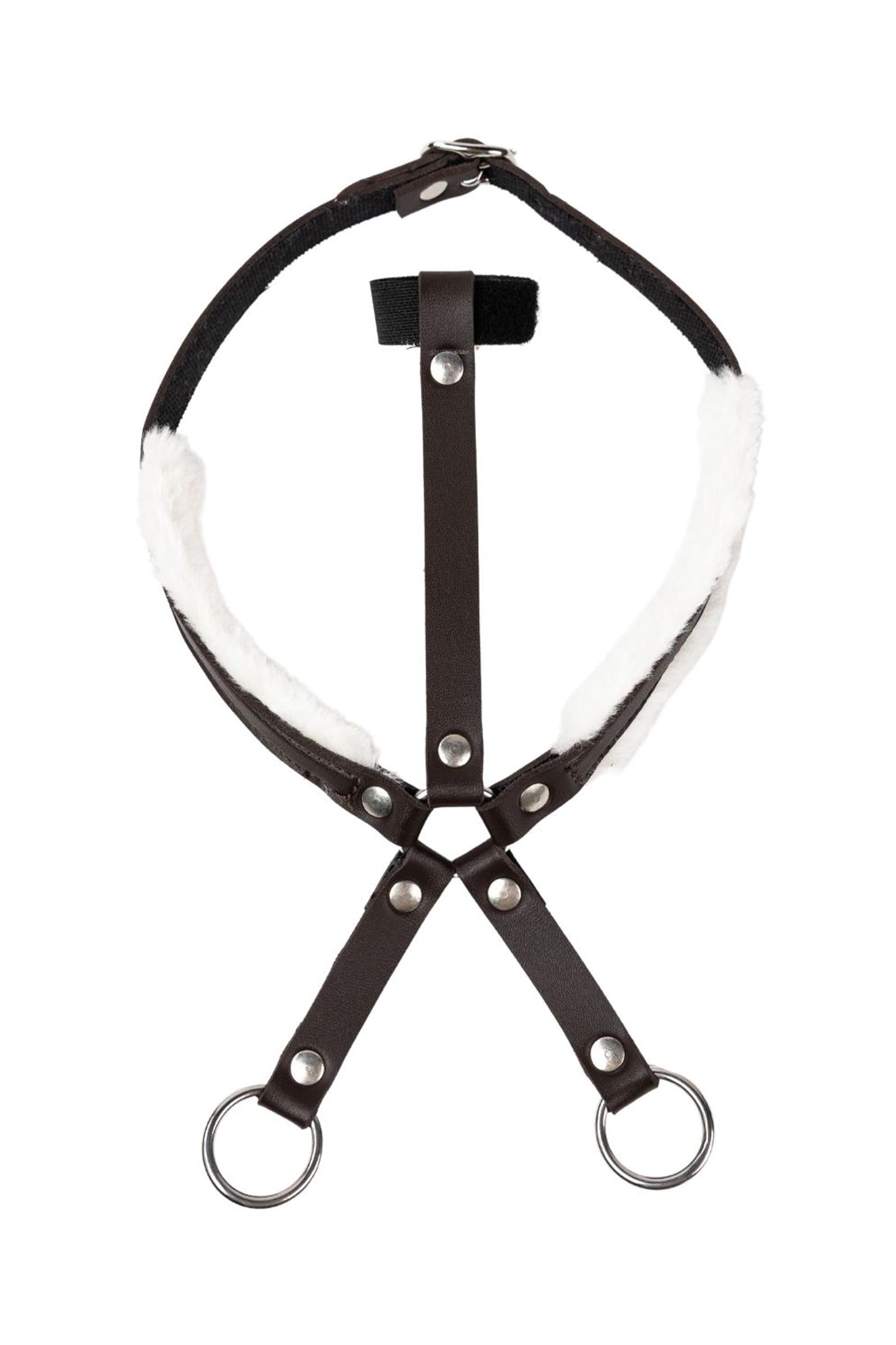 My Hobby Horse martingala Regalos