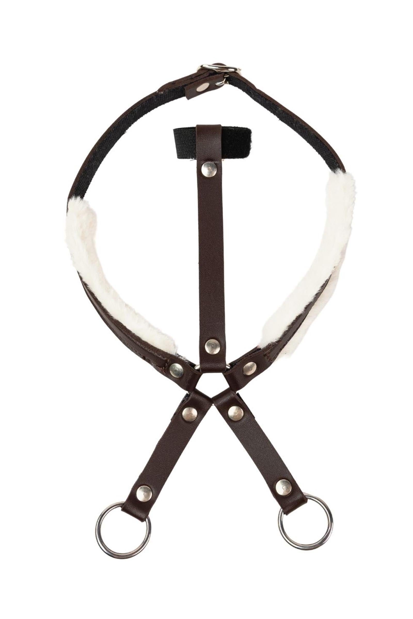 My Hobby Horse martingala Regalos